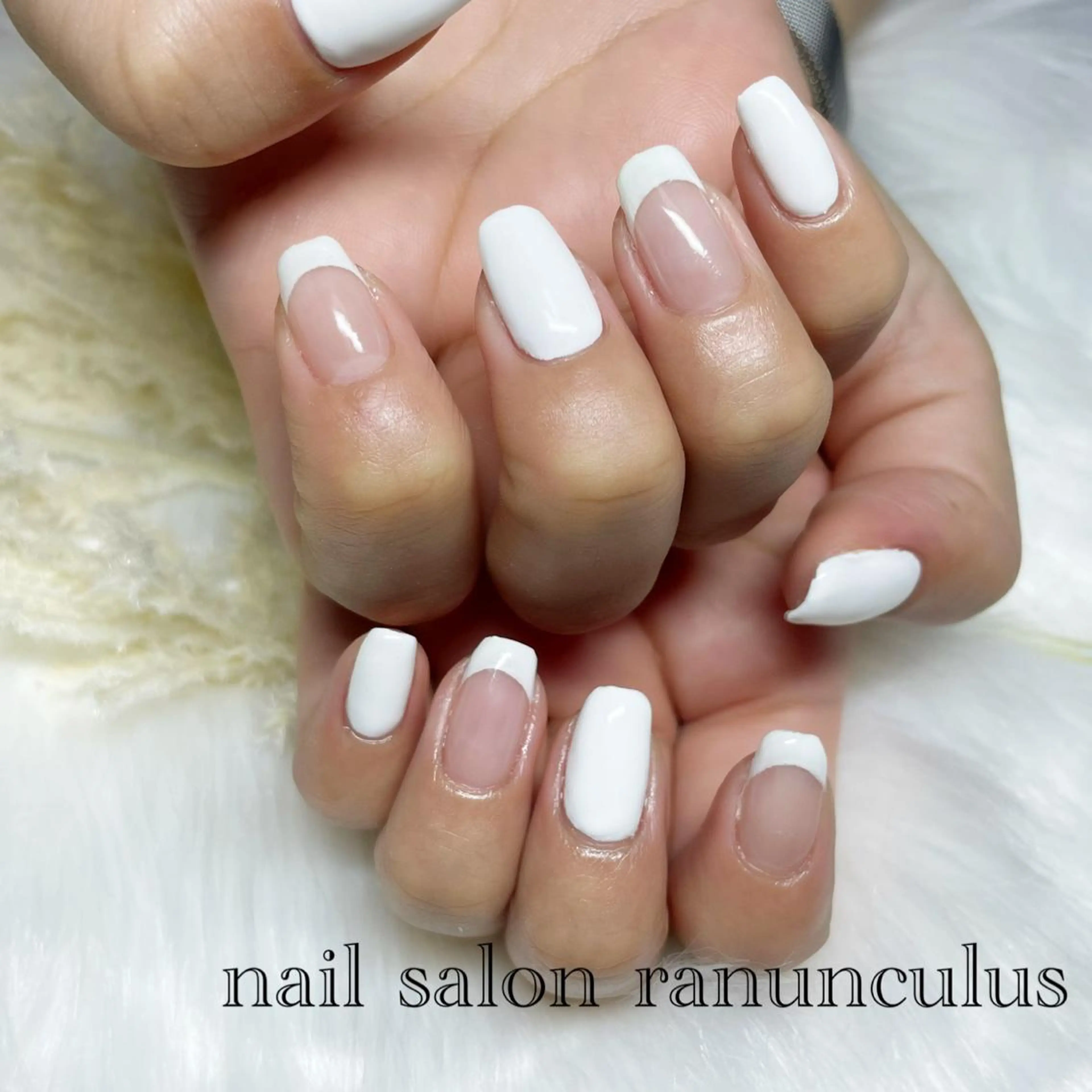 フレンチの写真