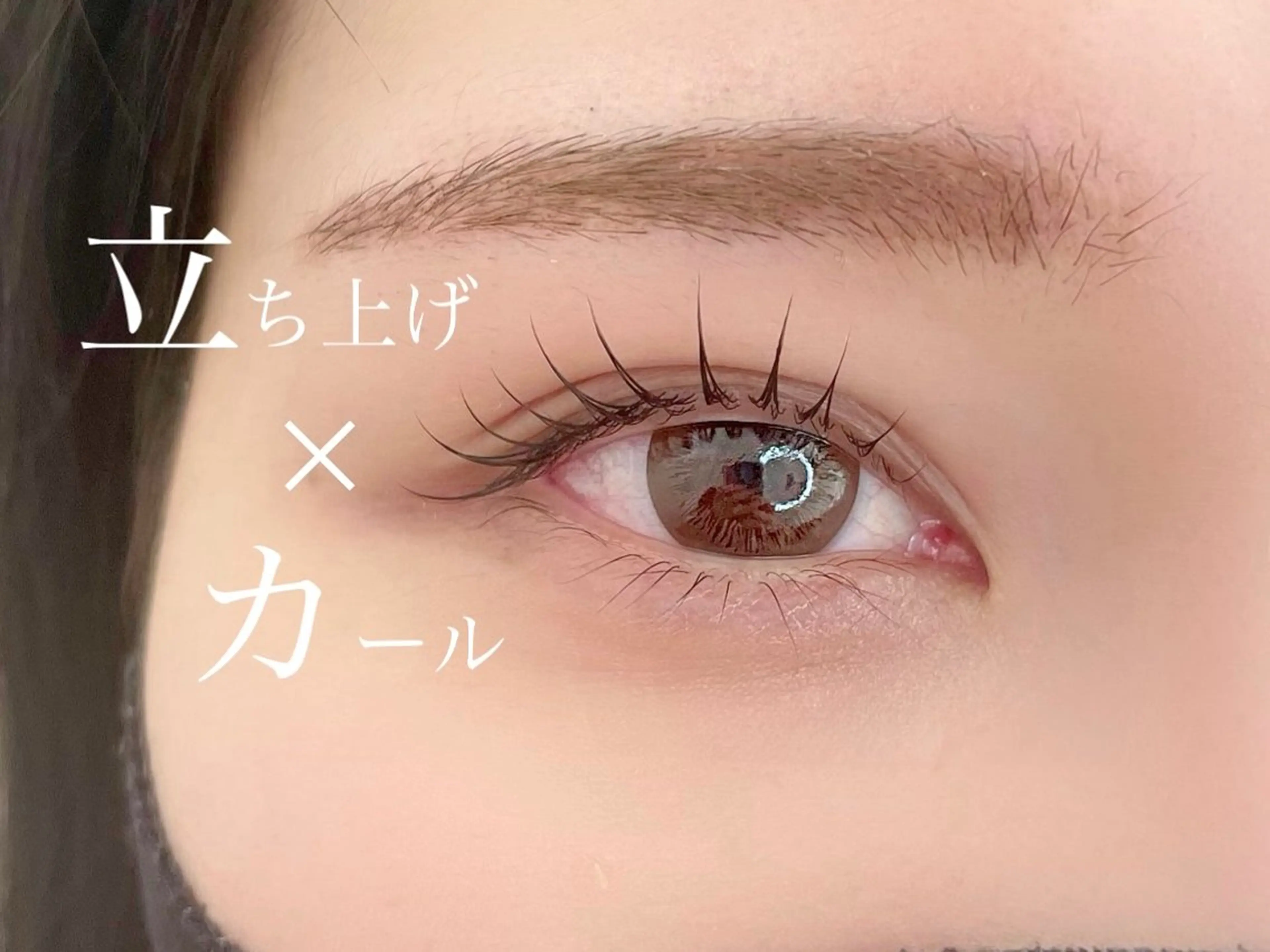 マツエク・マツパ マツパ Lily Eyelashのマツエク・マツパデザイン