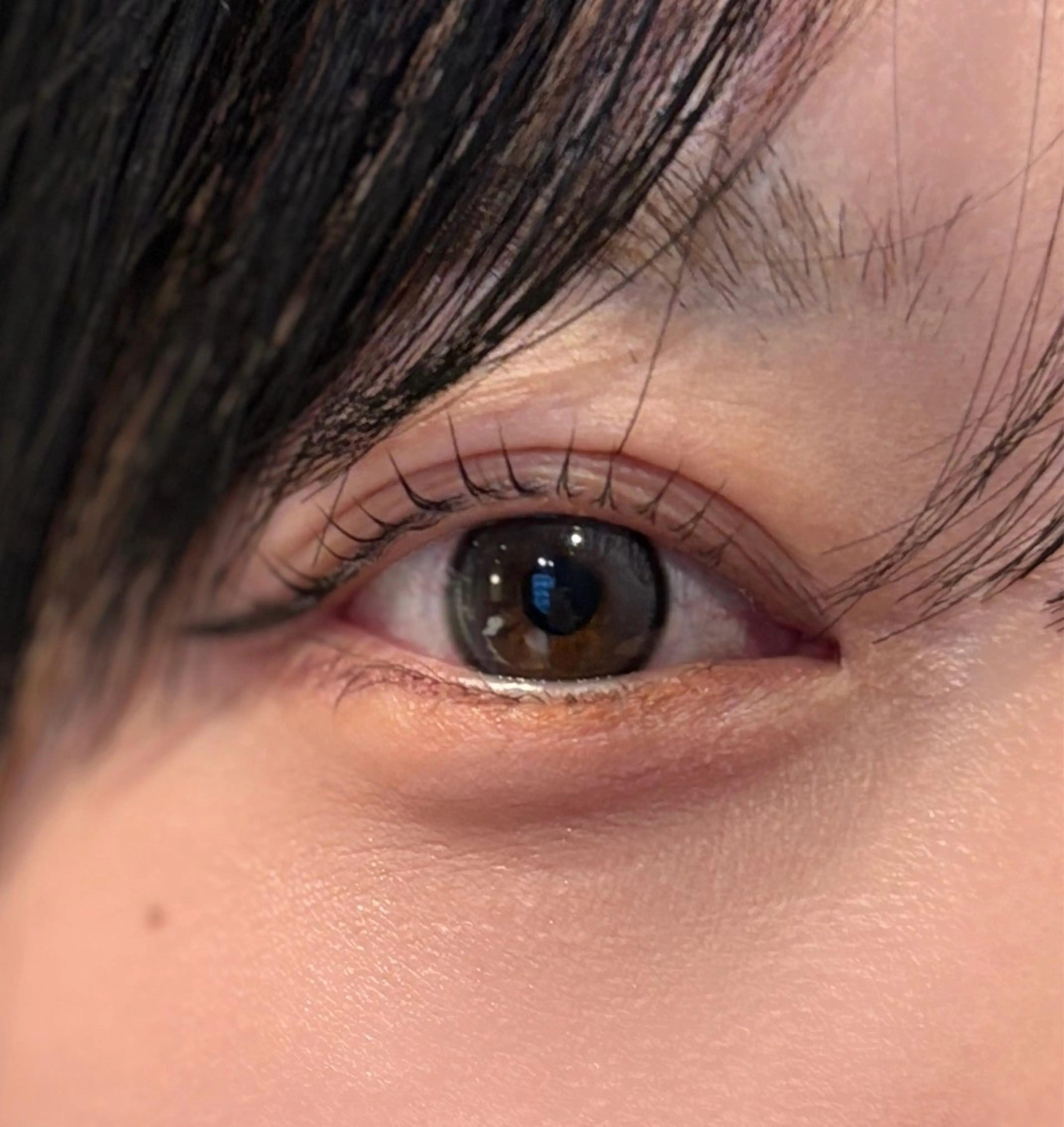 マツエク・マツパ マツパ 16° LILI⭐️🤍の眉毛・アイブロウイメージ