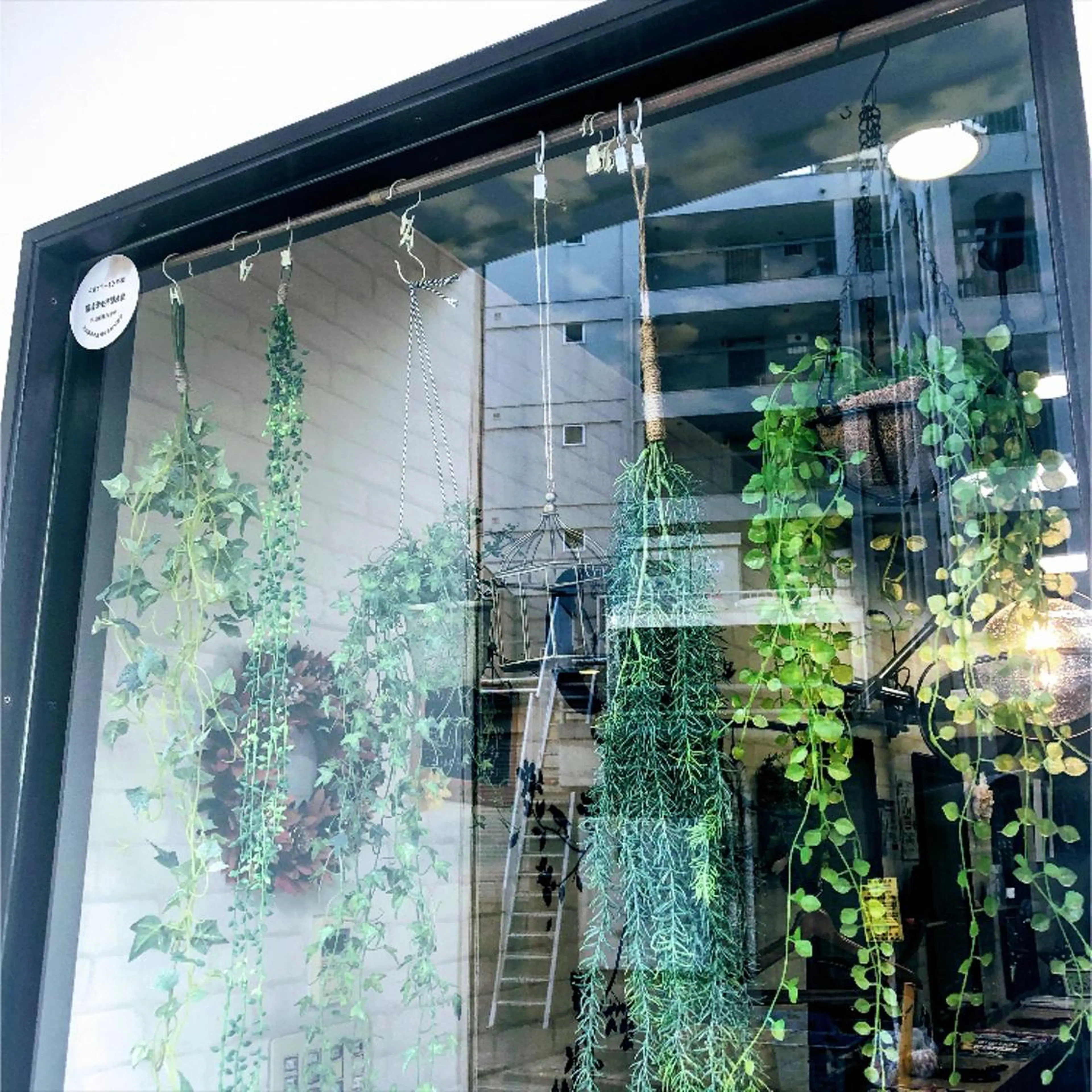 arm in arm ︎✿Yamamotoのマツエク・マツパデザイン