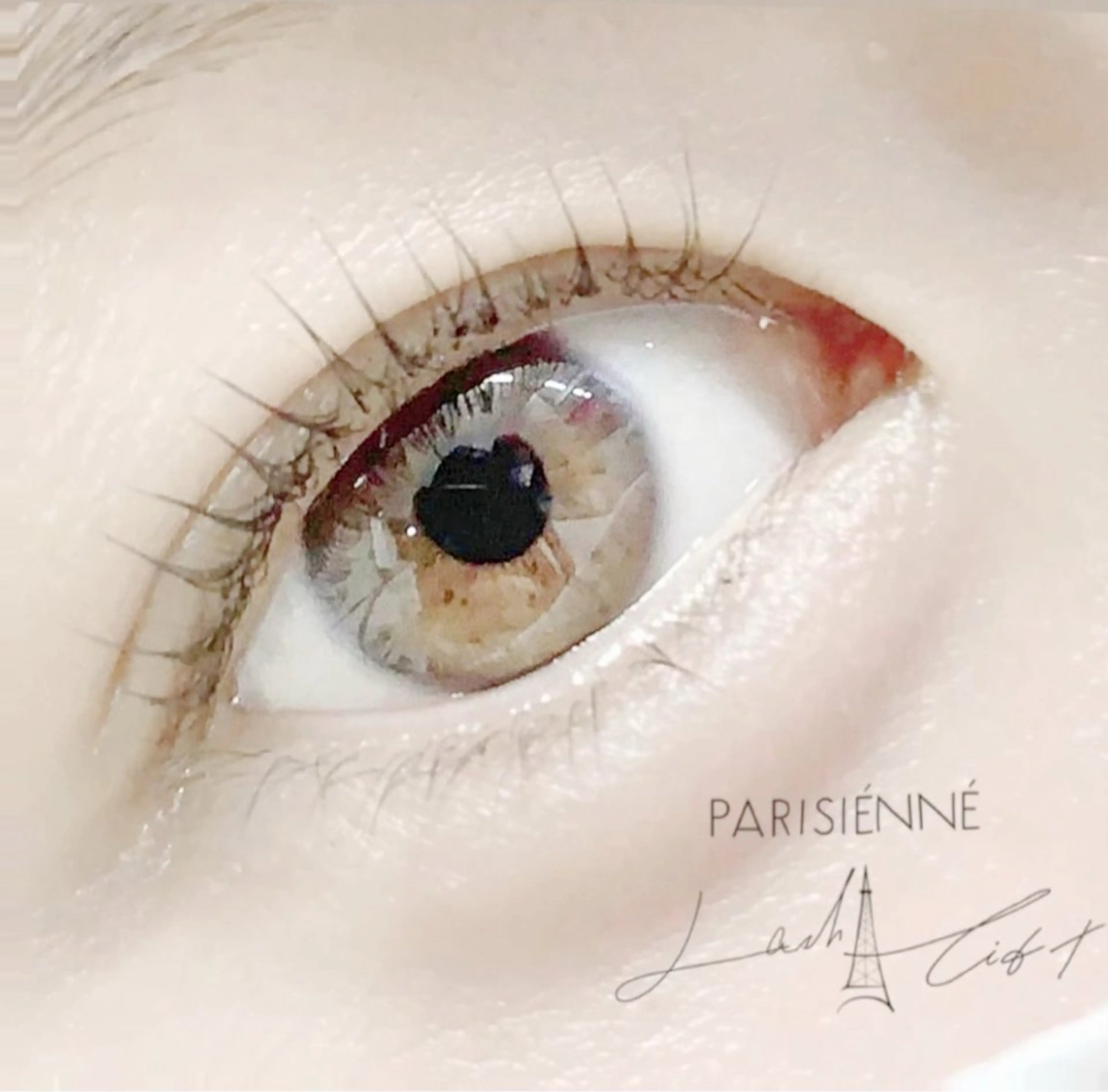 ラッシュリフト🌹パリジェンヌも可の写真