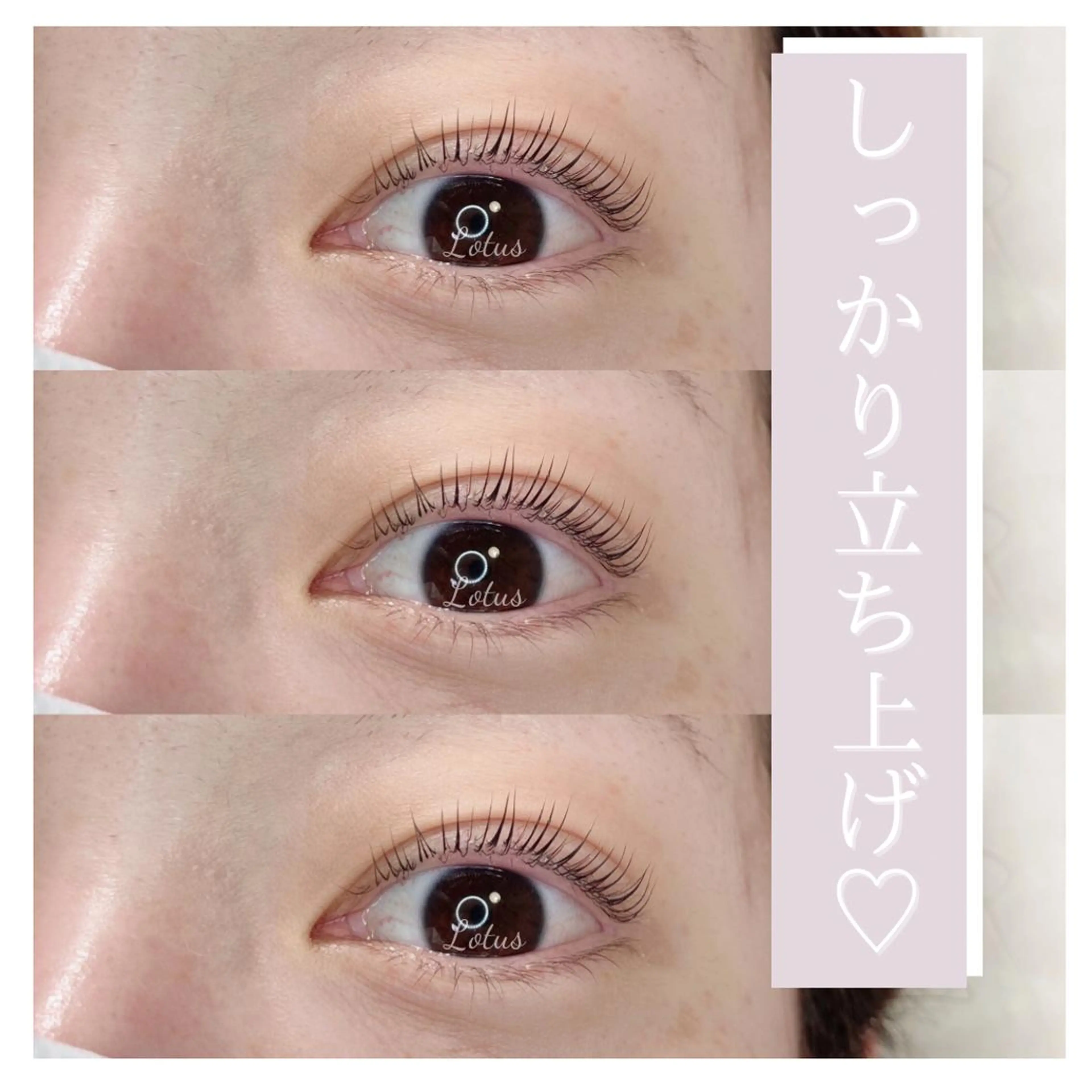 マツエク・マツパ マツパ Lotus所属・Lotus ロータスのマツエク・マツパデザイン