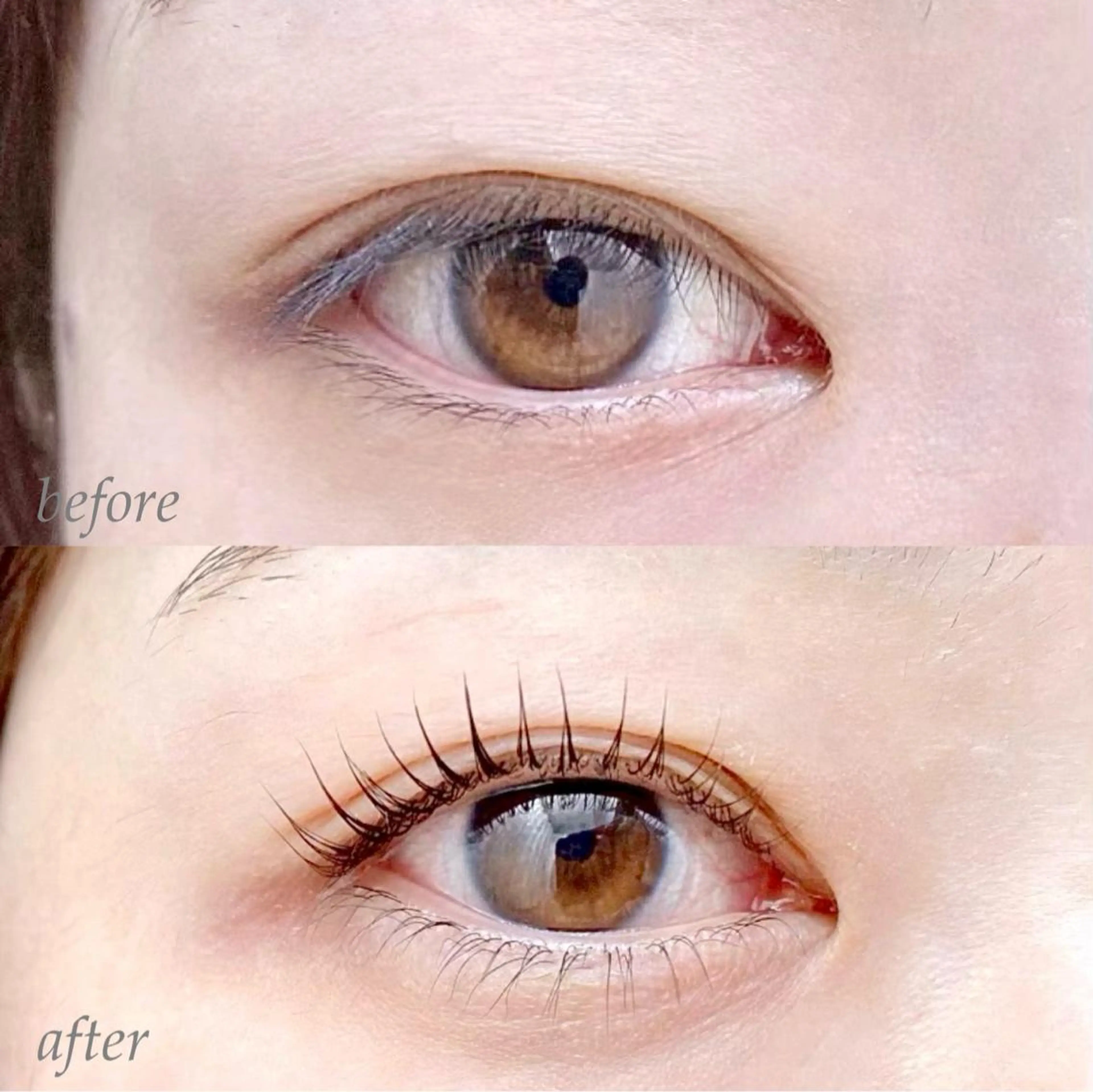 マツエク・マツパ マツパ Rabbit hagaのマツエク・マツパデザイン