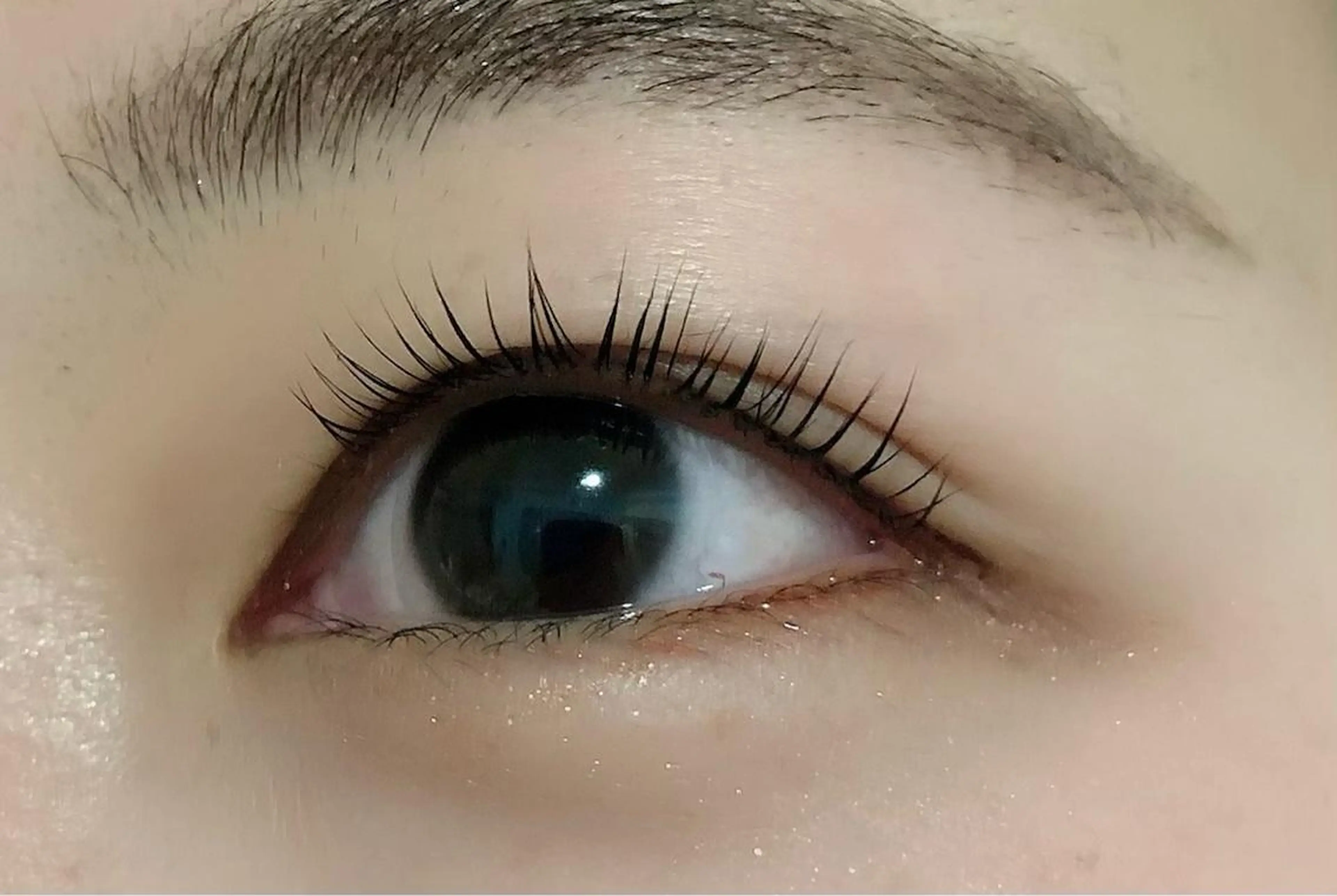 🤎今月のキャンペーン🤎【全員特別価格】ロイヤルラッシュリフト水木土日でご希望日お知らせください⭐︎の写真