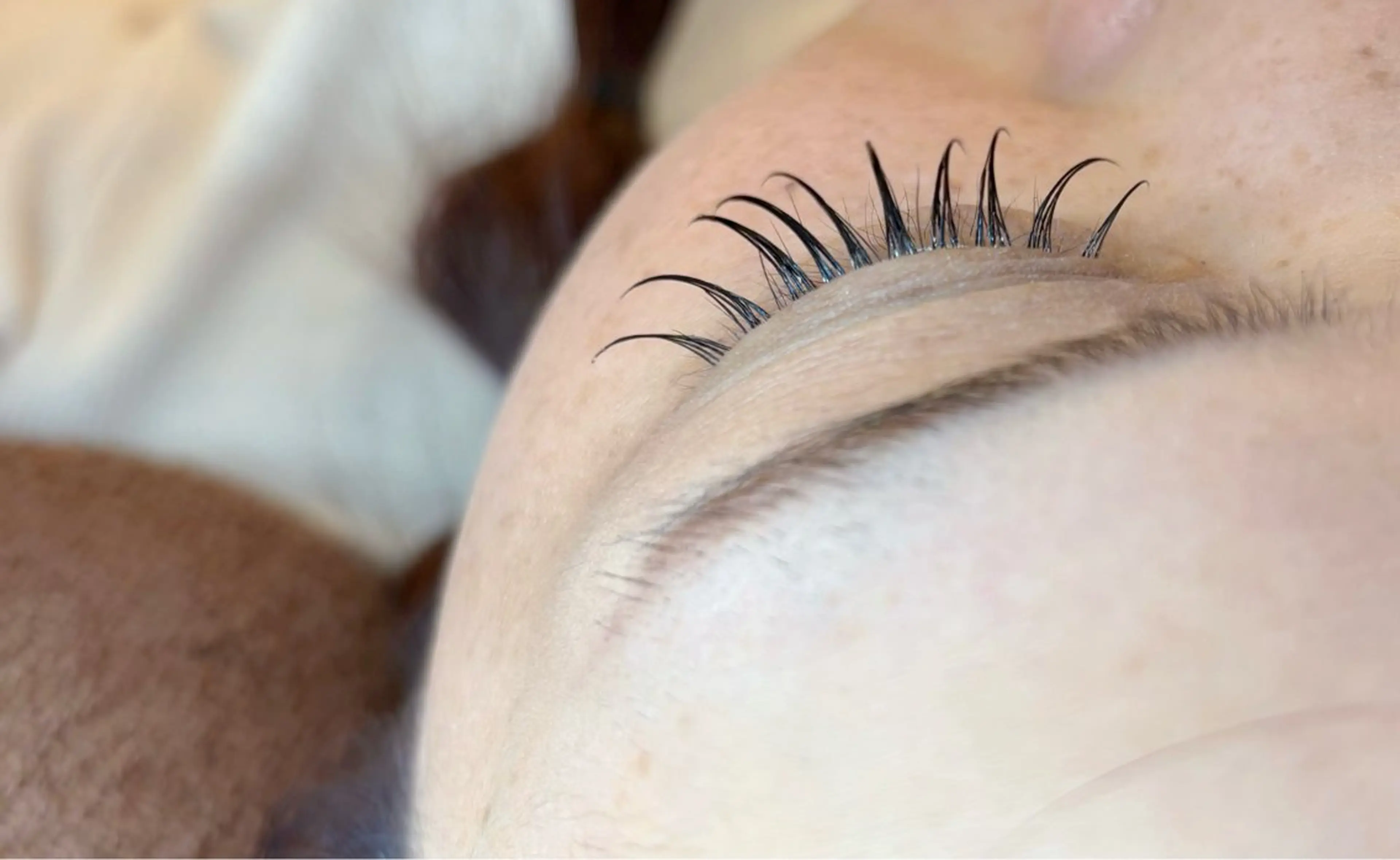 マツエク・マツパ マツエク 兒島 菜緒のマツエク・マツパデザイン