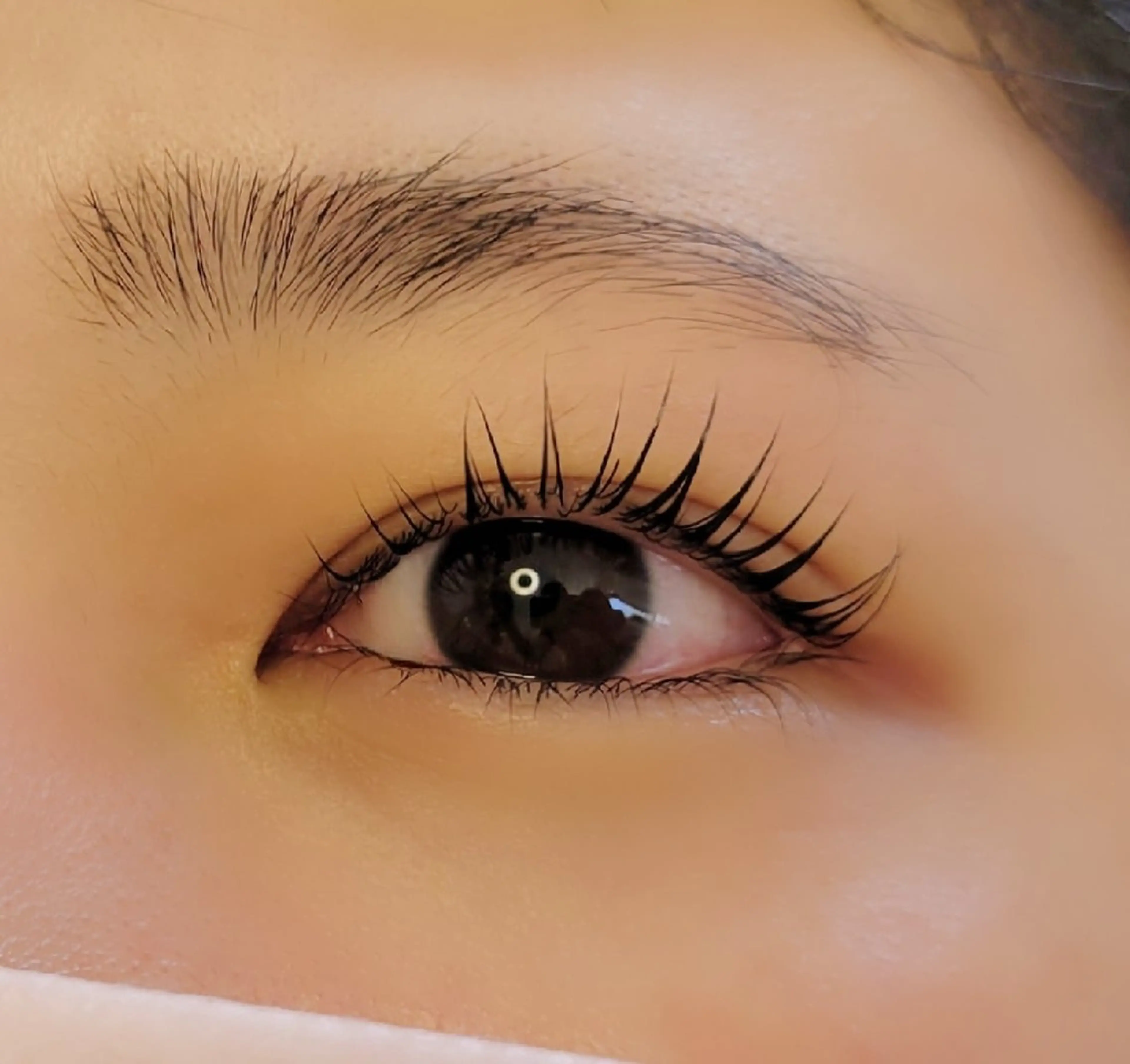 マツエク・マツパ ヘアメイクサロン Red Lipps のマツエク・マツパデザイン