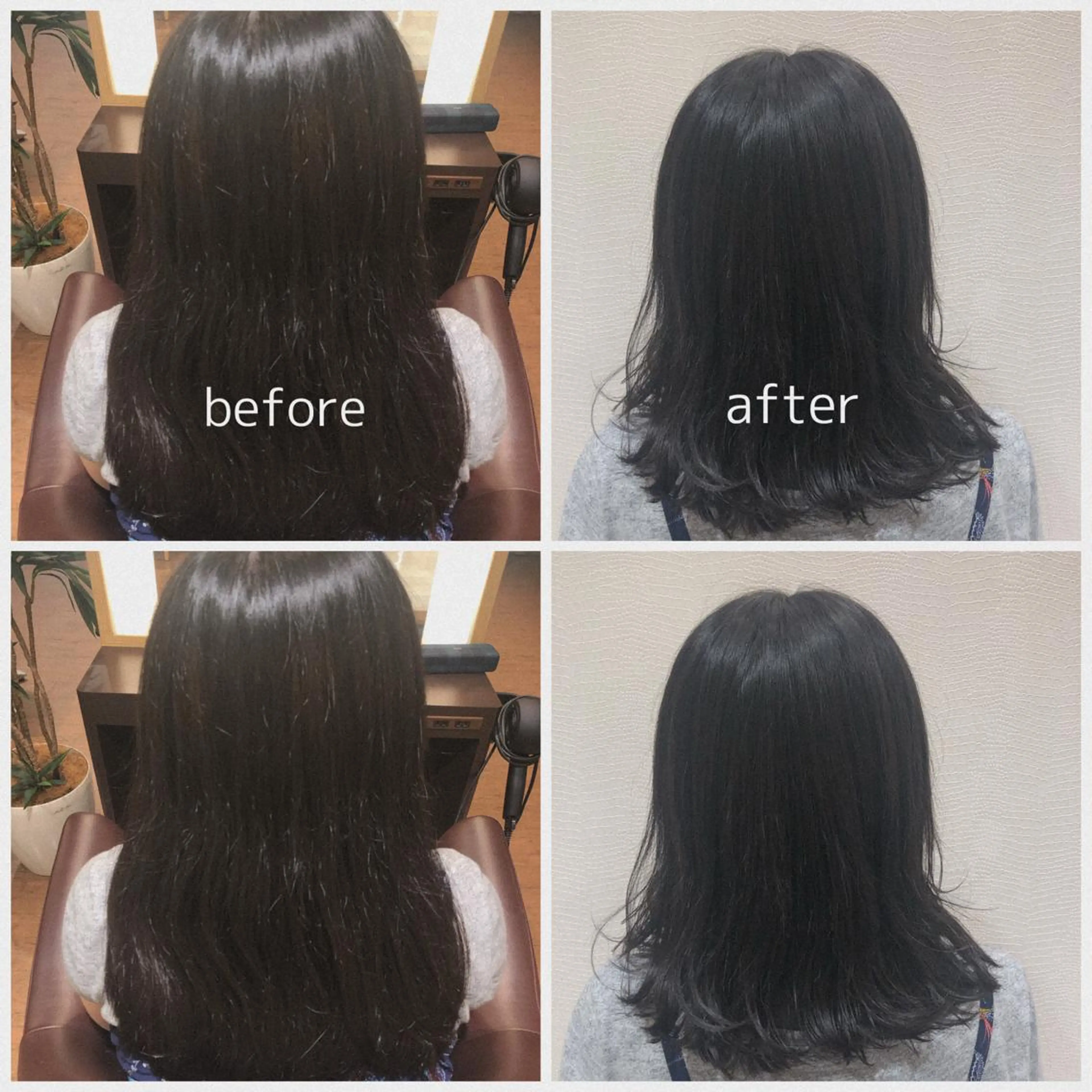 ミディアム トレンド眉🌈✨ megumiのマツエク・マツパデザイン