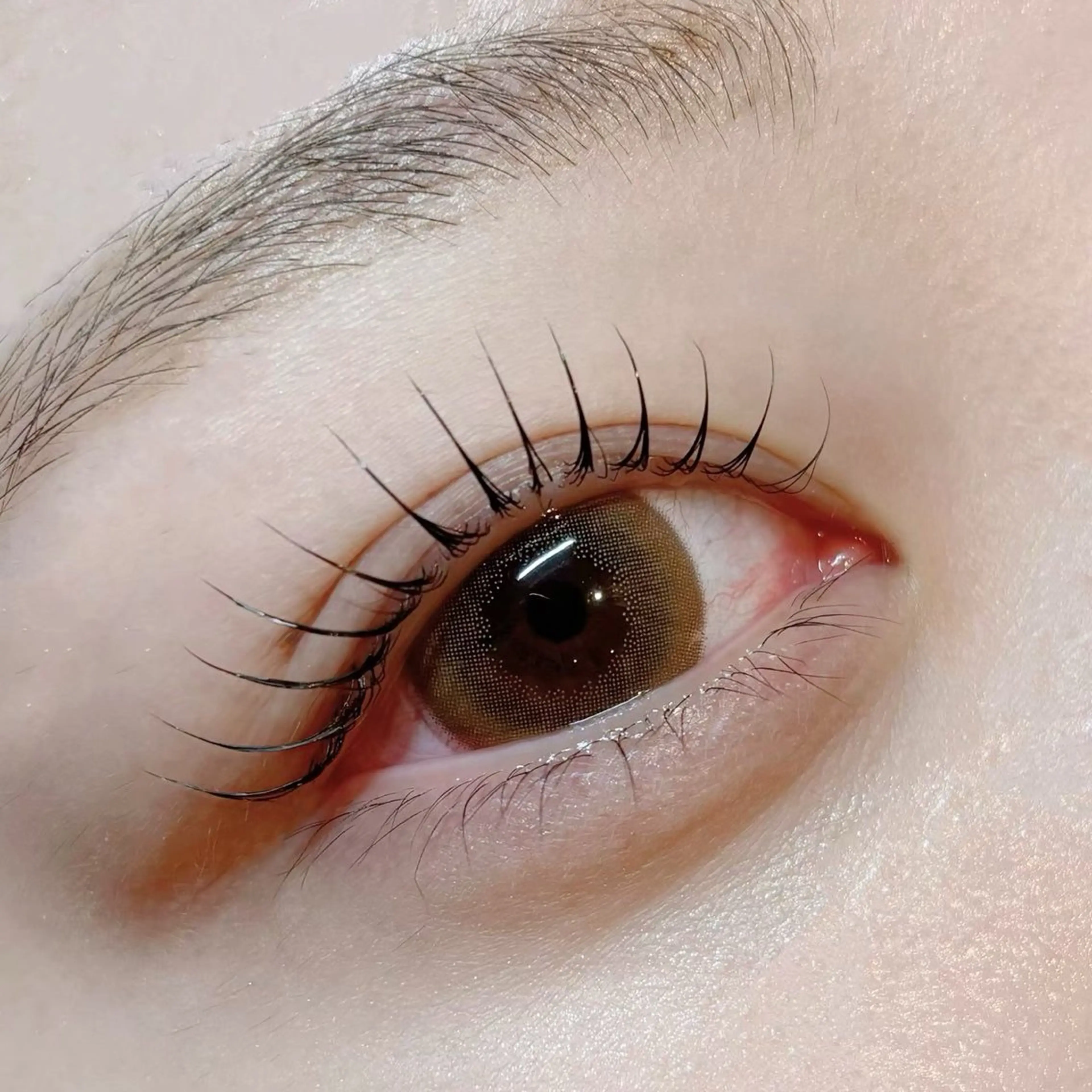 マツエク・マツパ 一重×まつ毛パーマ TOPBROW天王寺店所属・topbrow / moe🦙♡のマツエク・マツパデザイン