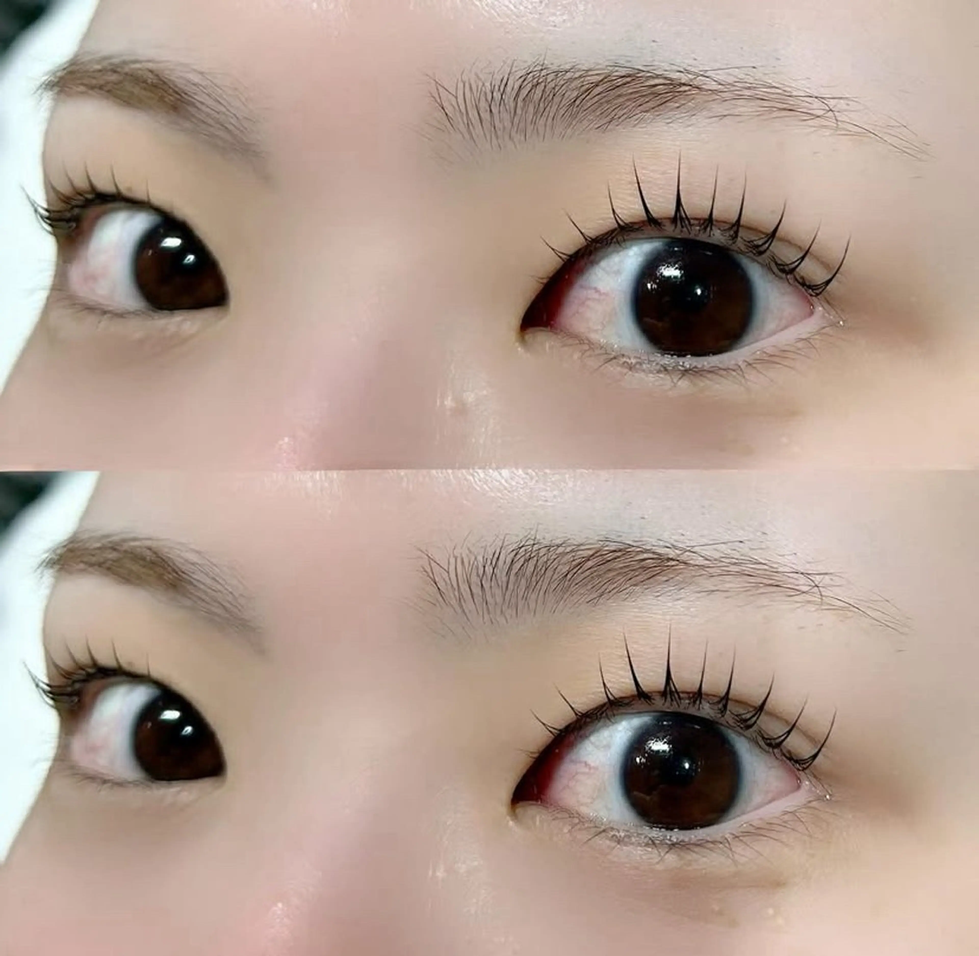 マツエク・マツパ まつげパーマ Lnature 【完全個室】熊本下通の眉毛・アイブロウイメージ