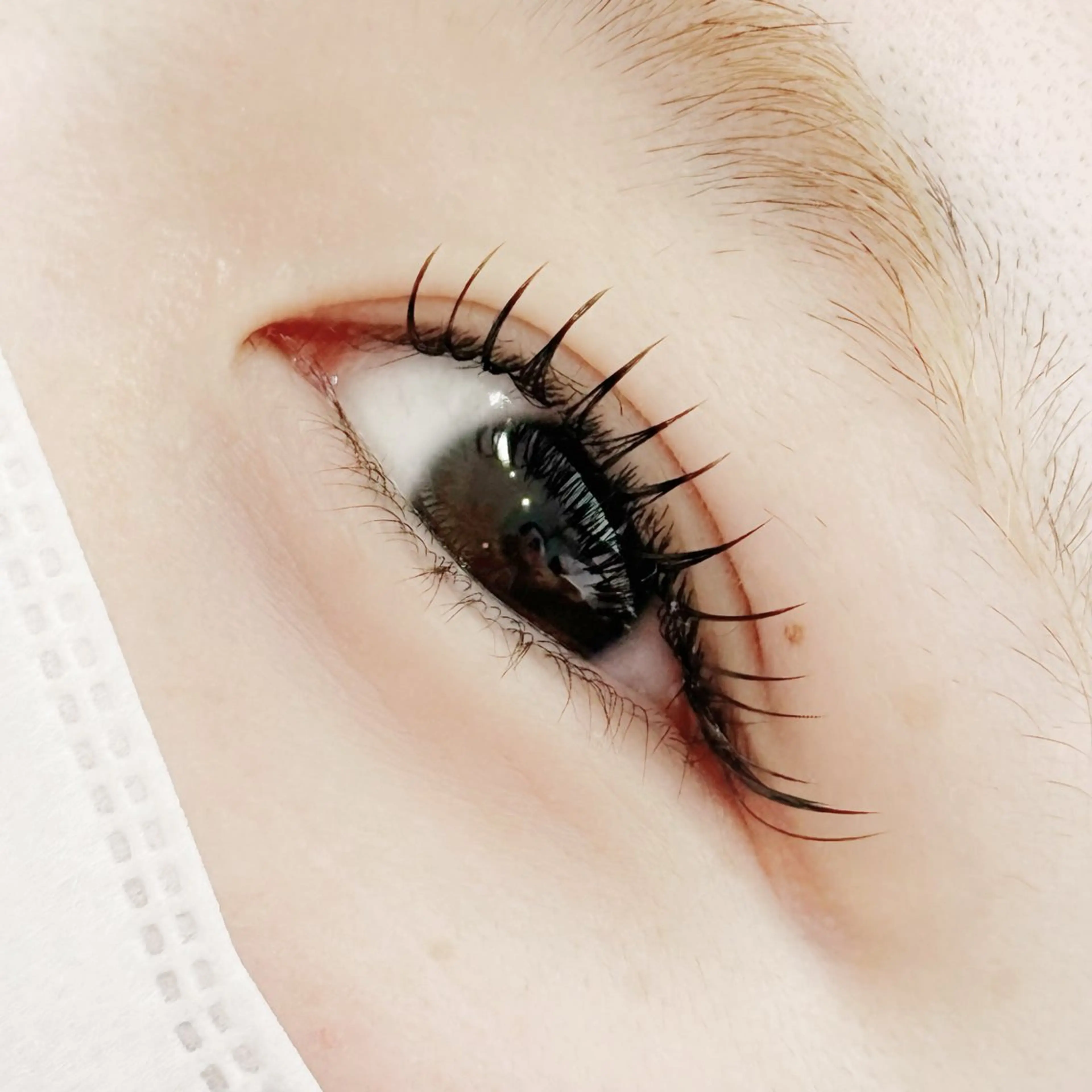 マツエク・マツパ マツエク PROGRESS 龍ヶ崎 小泉🦋のマツエク・マツパデザイン