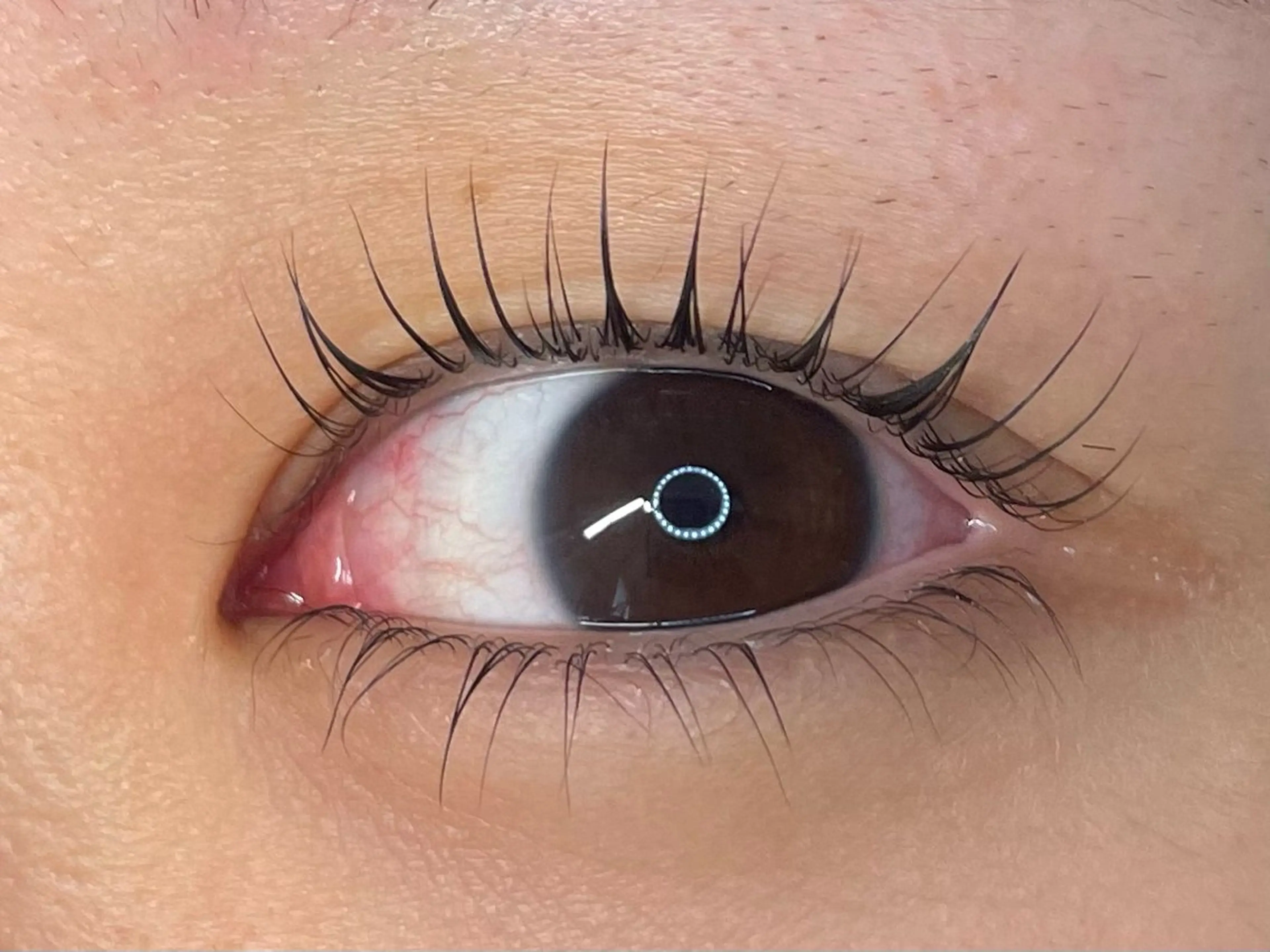 ✨👀下まつ毛パーマ👀✨トリートメント付き🎈の写真