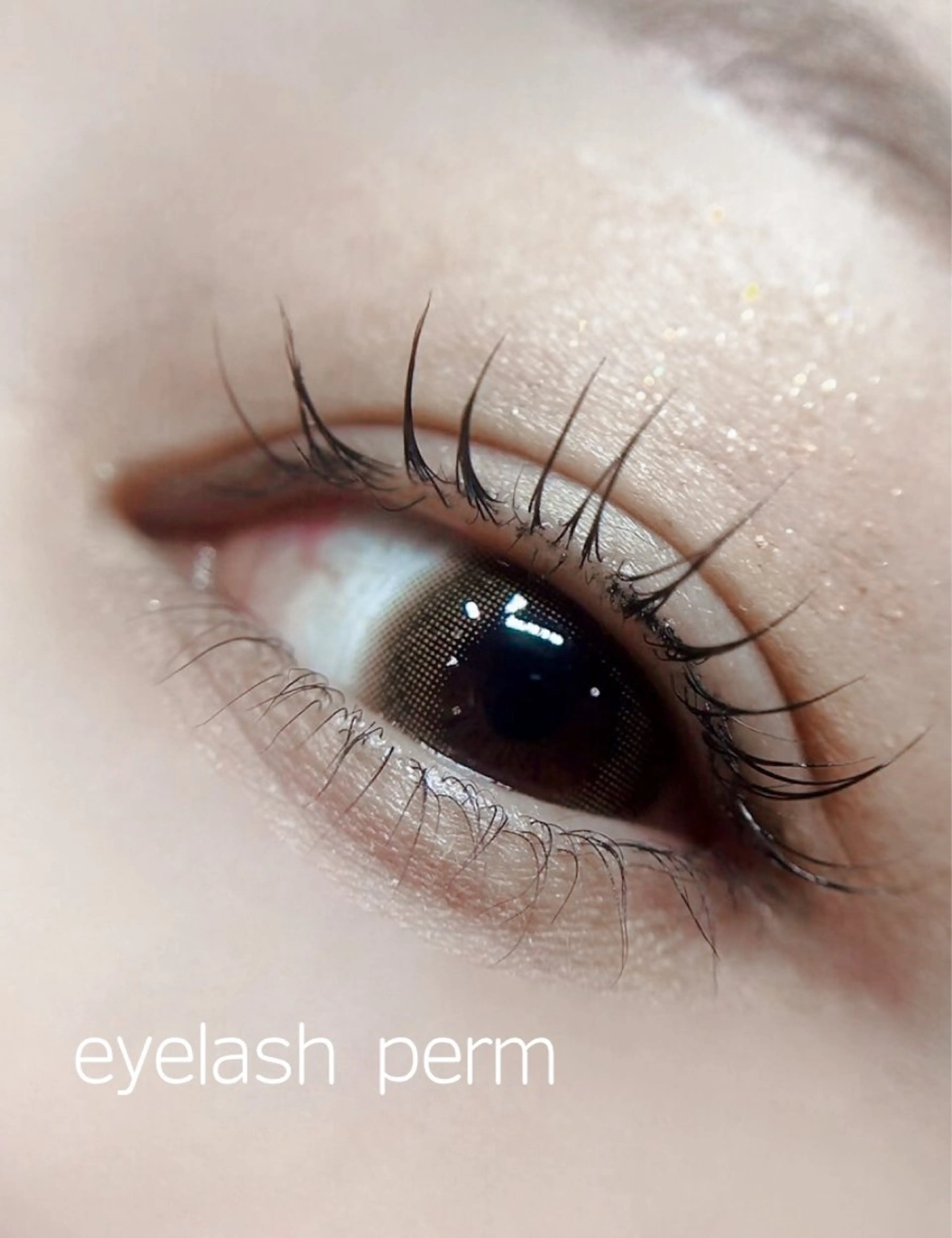 まつ毛パーマ/ケアトリートメント&アイシャンプー&コーティング付き🫶の写真