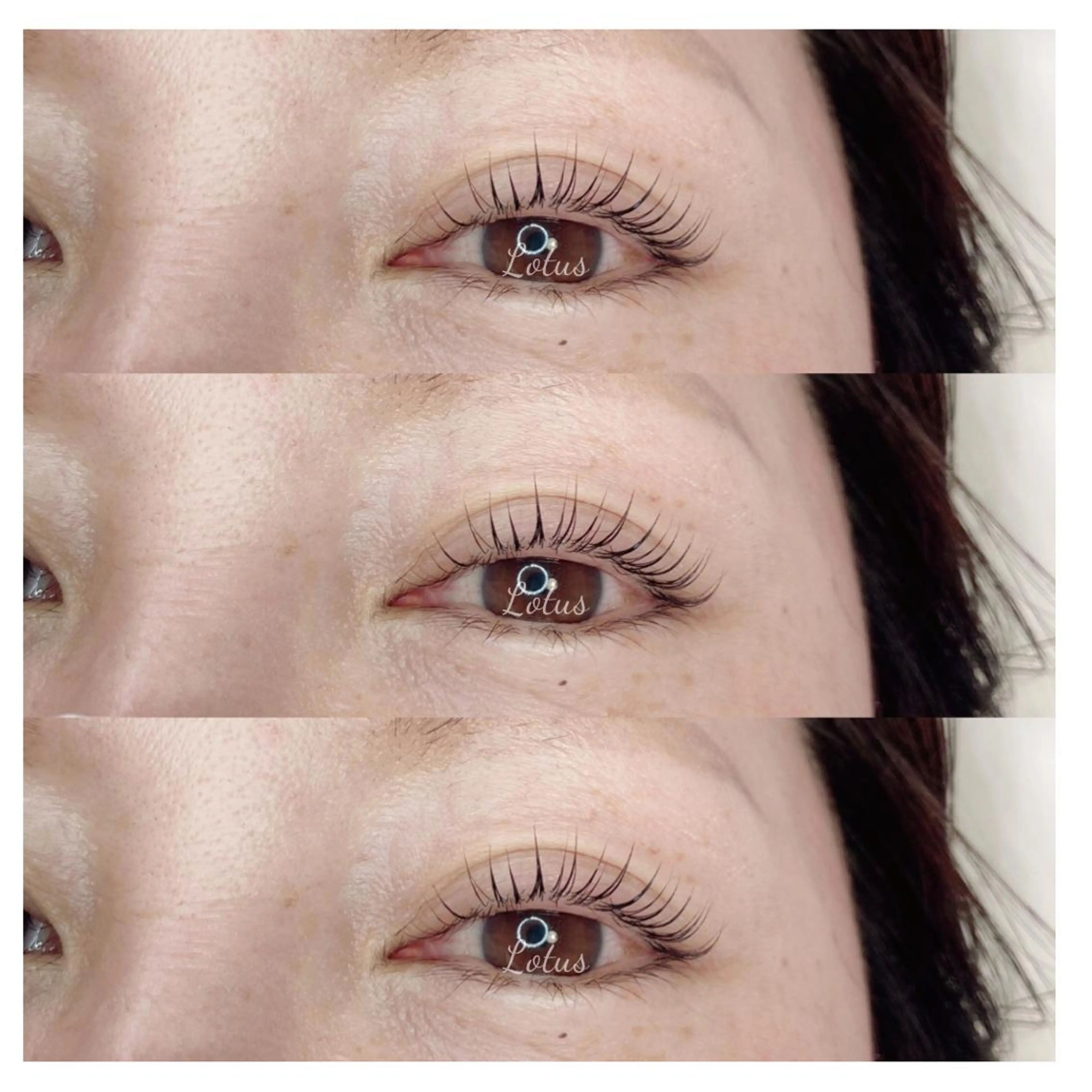 マツエク・マツパ 一重×まつ毛パーマ マツパ Lotus所属・Lotus ロータスのマツエク・マツパデザイン