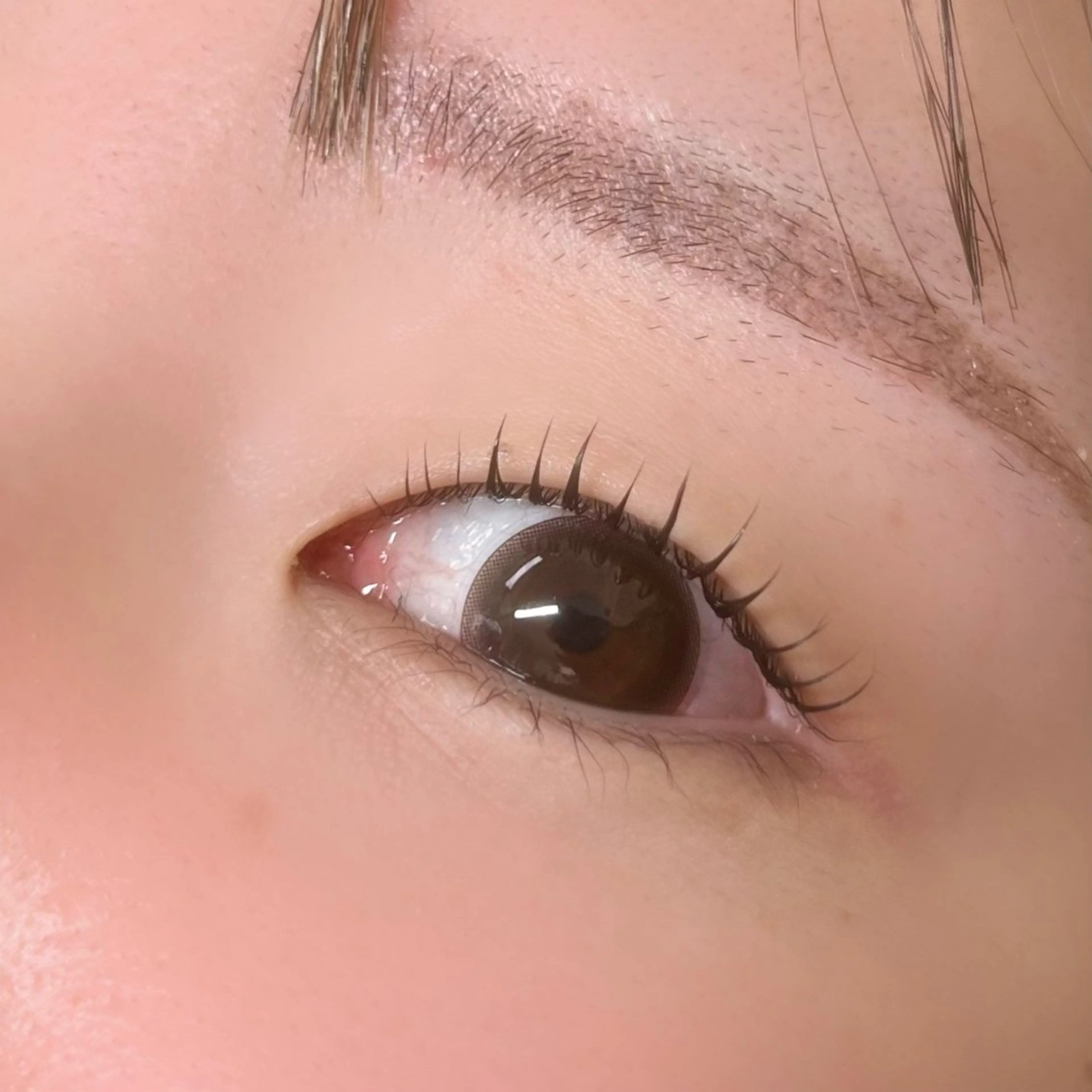 マツエク・マツパ 一重×まつ毛パーマ マツパ SUI大宮🎡 RISAのマツエク・マツパデザイン