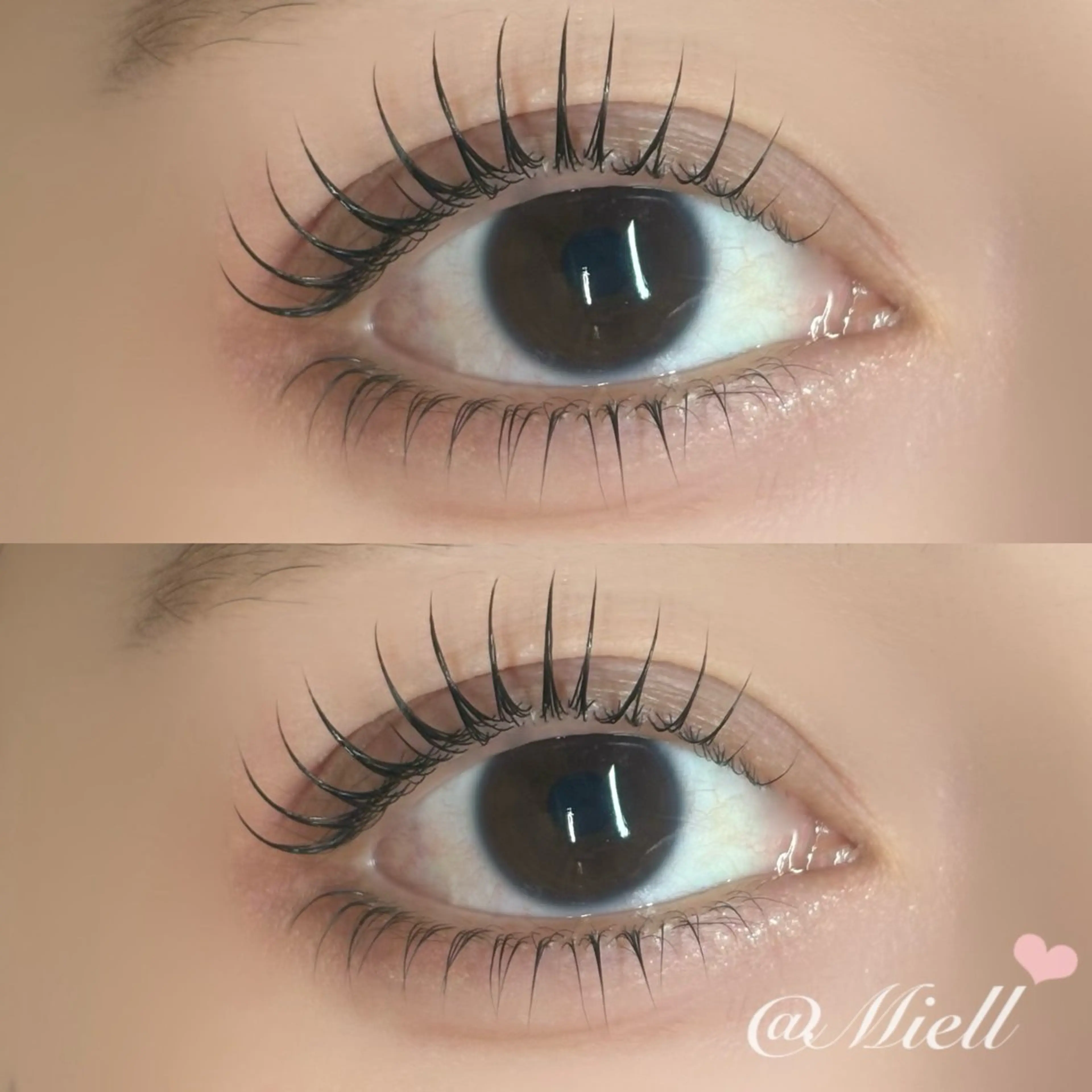 リピーター様クーポン🍀minimo限定価格🤍まつ毛パーマ(上下)🌈ケラチントリートメント、コーティング付の写真