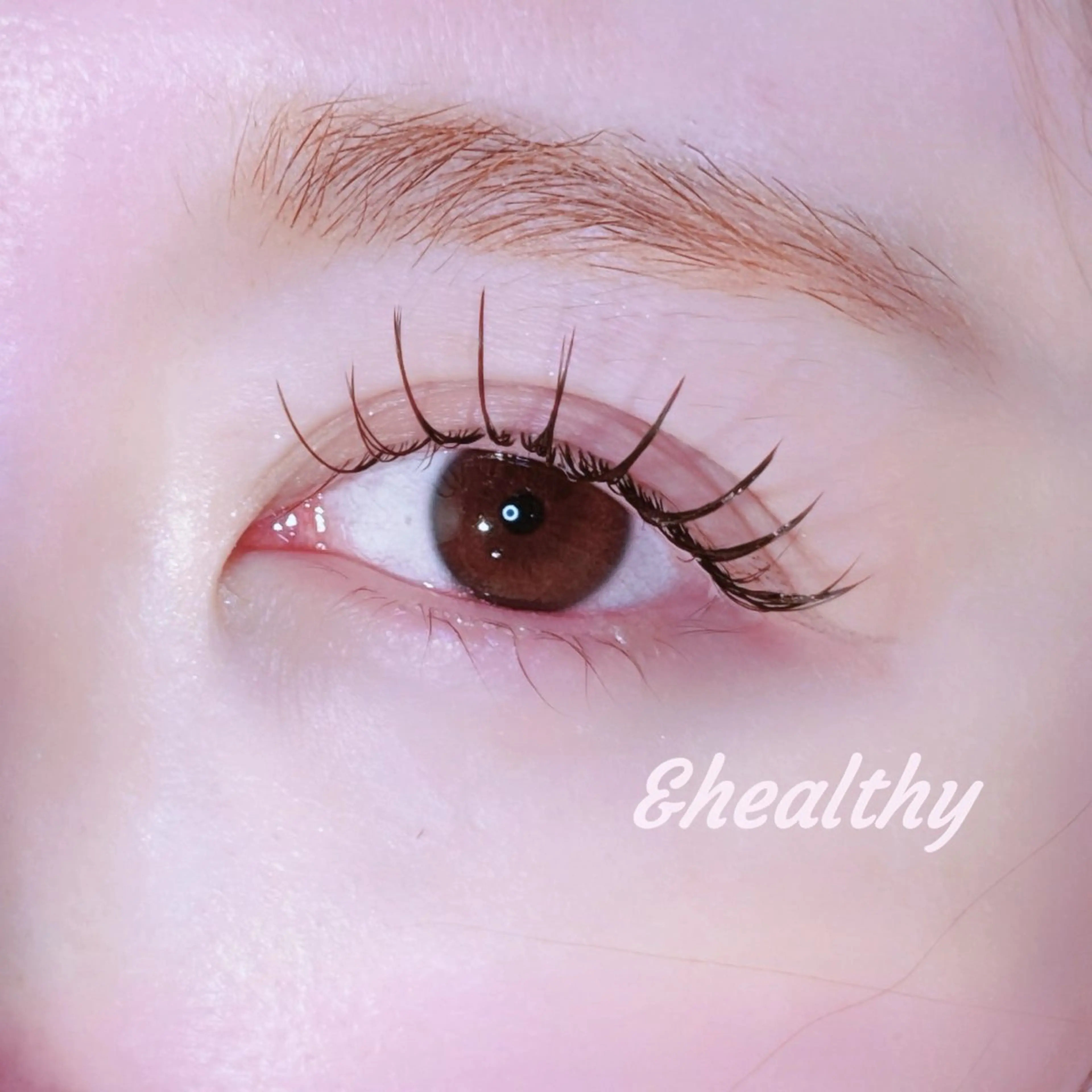 5月限定🩵&healthy️🩵➕フラットラッシュ120本の写真