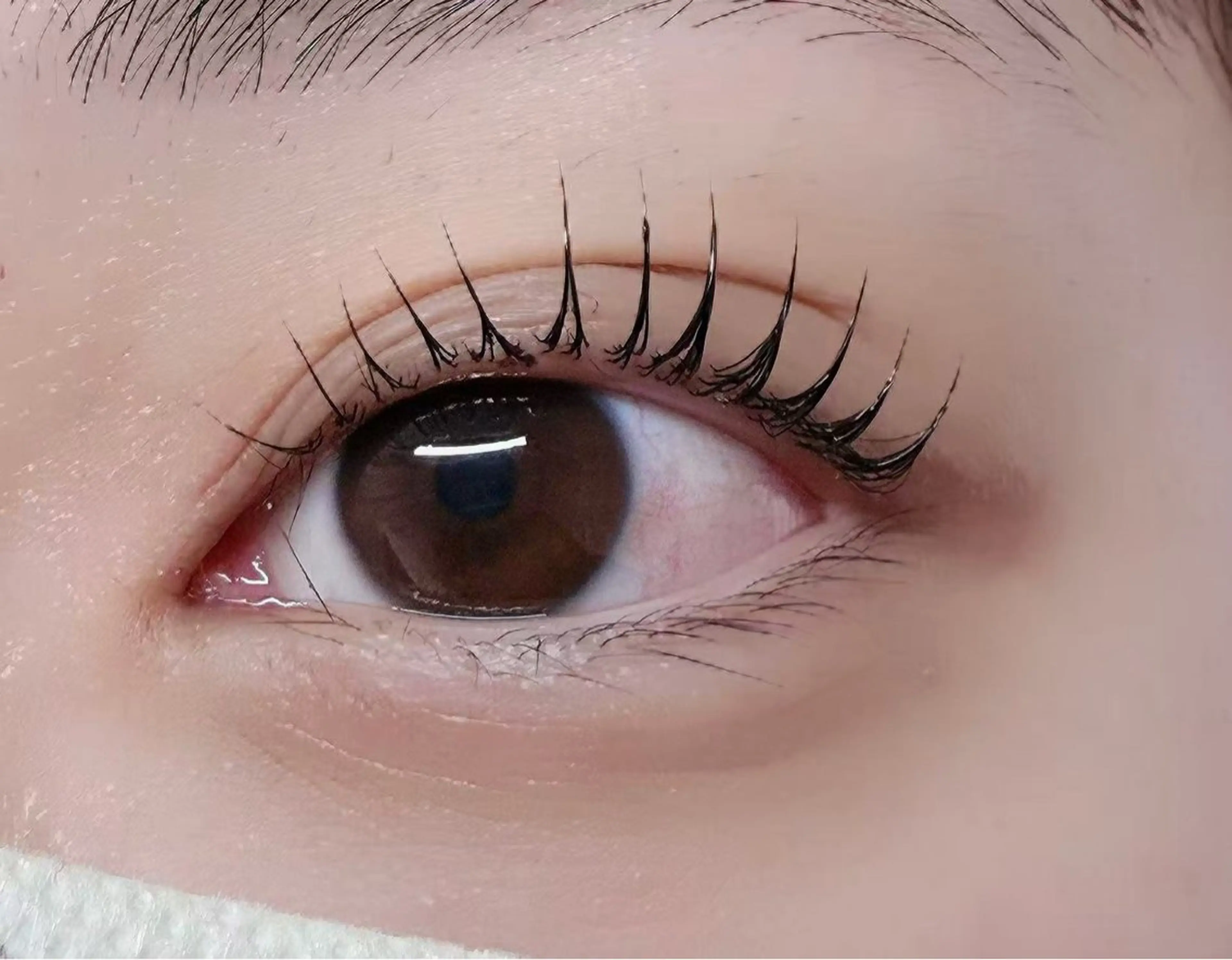 マツエク・マツパ hime. ~ルチア高田馬場店のマツエク・マツパデザイン