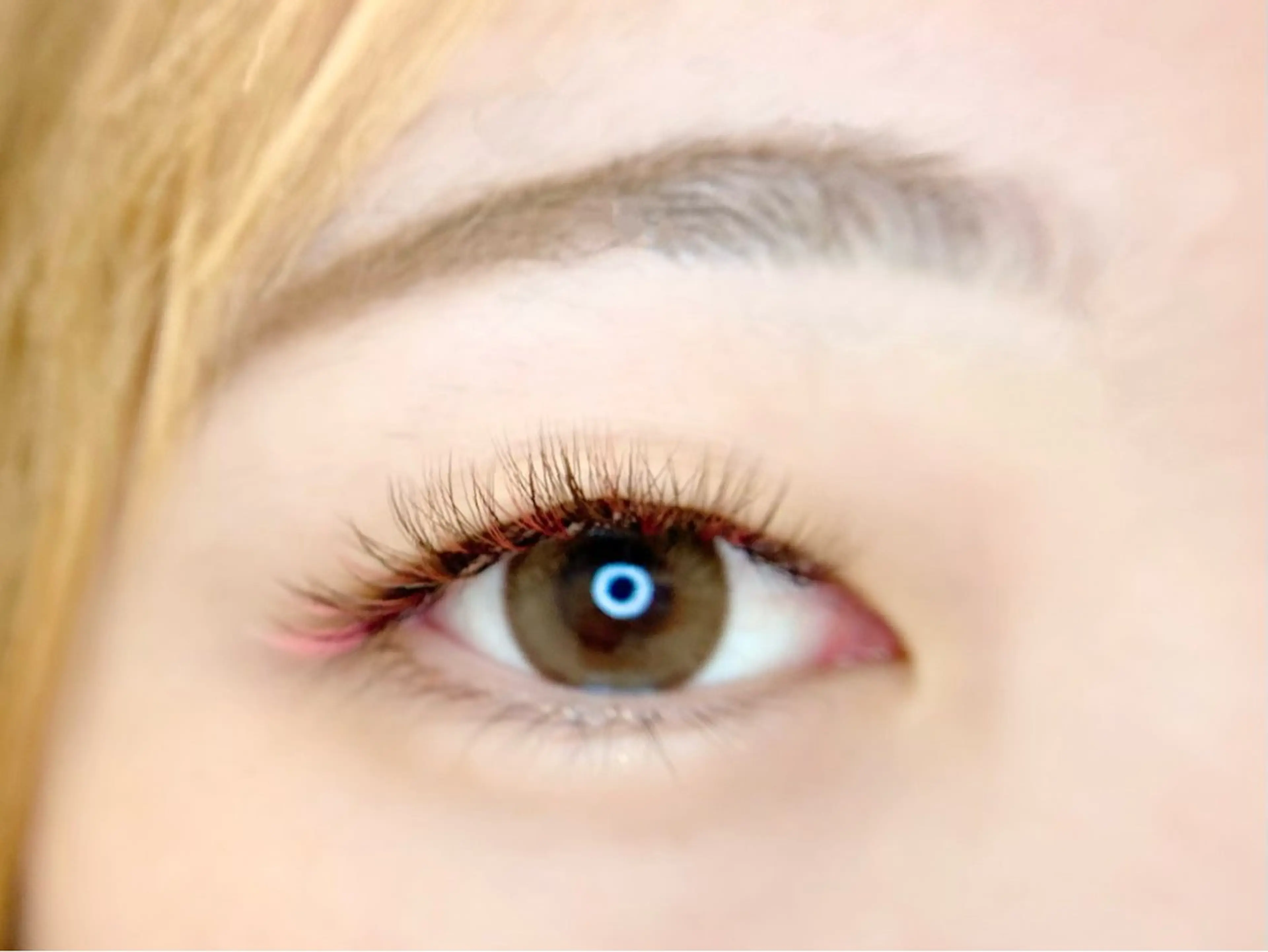 🫧アイブロウスレッティング(眉のみ)の写真