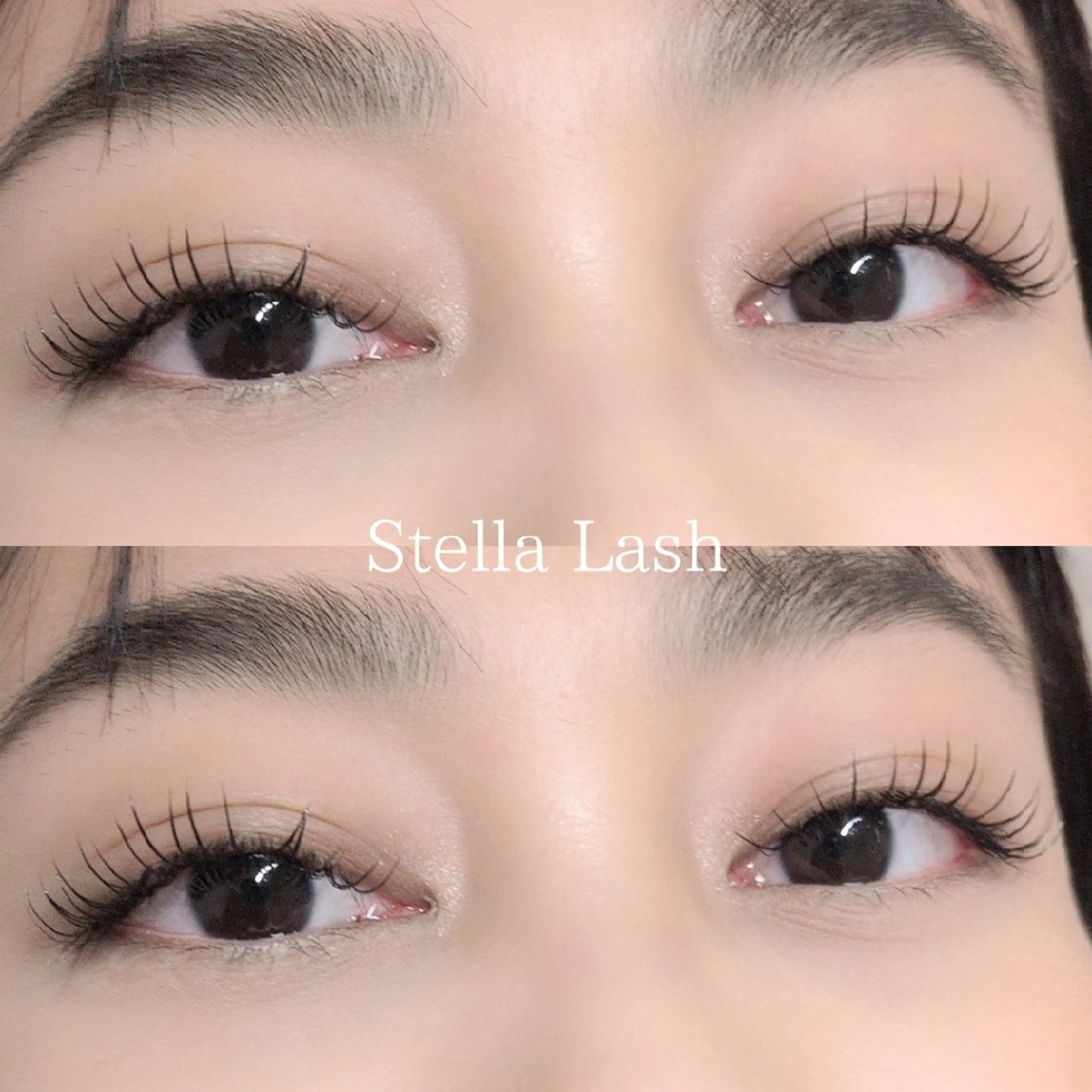 マツエク・マツパ フラットラッシュ Stella Lash所属・Stella  Lashのマツエク・マツパデザイン