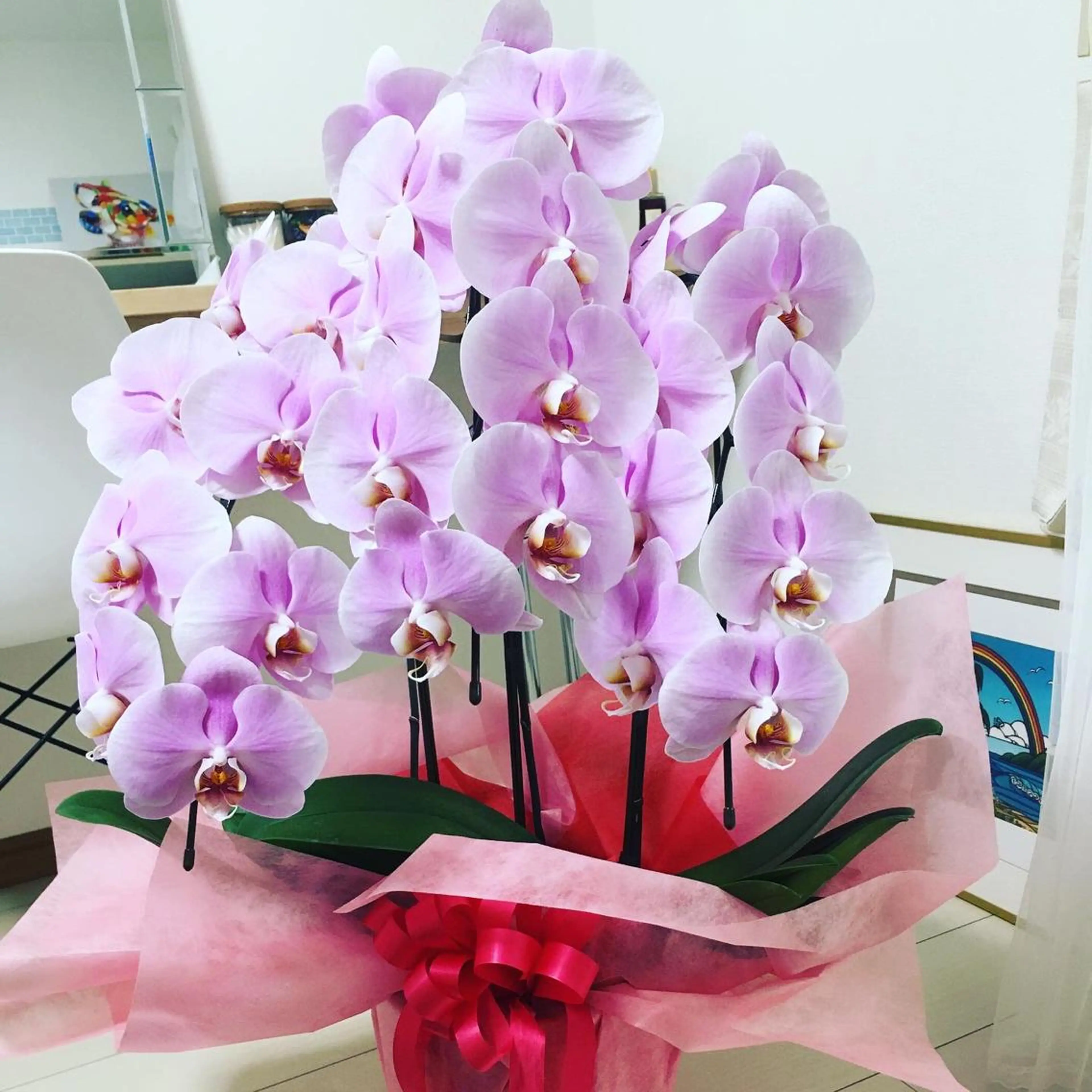 Sugar シュガーのマツエク・マツパデザイン