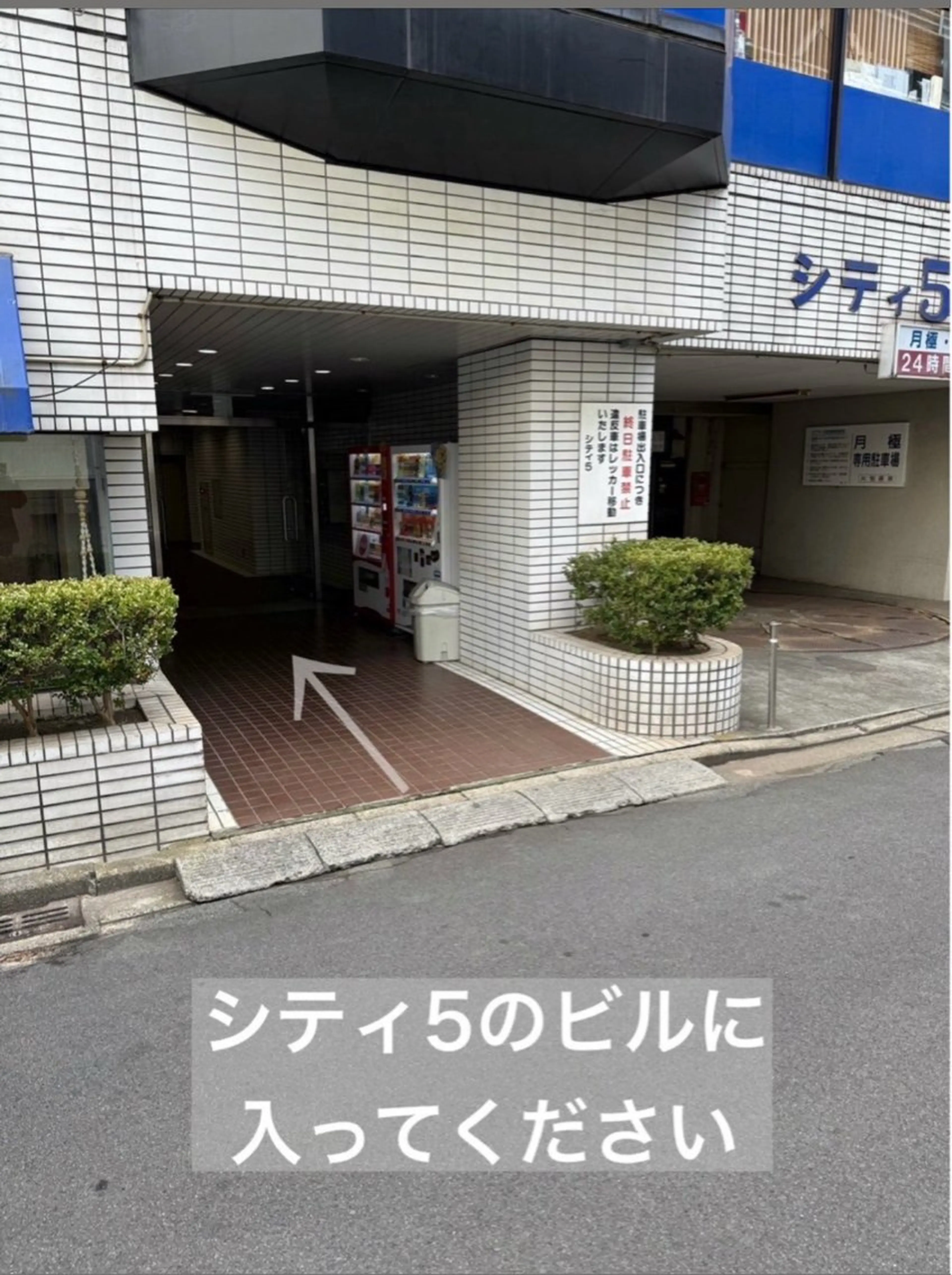 ショート カット ヘアカラー トリートメント midori osawaのヘアスタイル