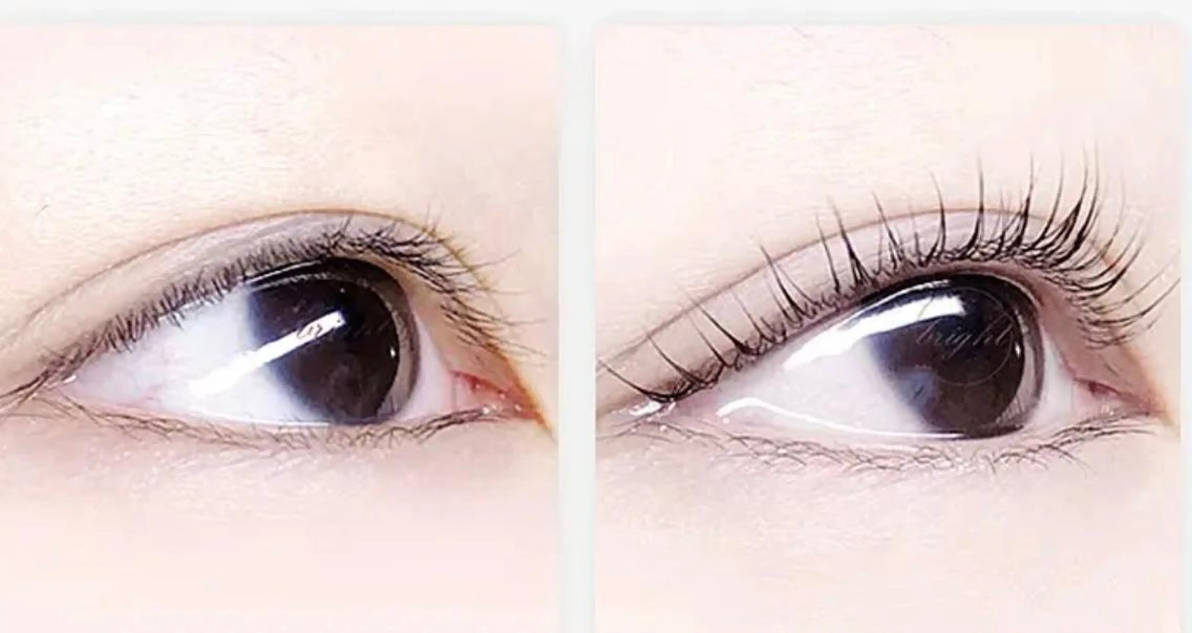 マツエク・マツパ Lemon 小岩店のマツエク・マツパデザイン