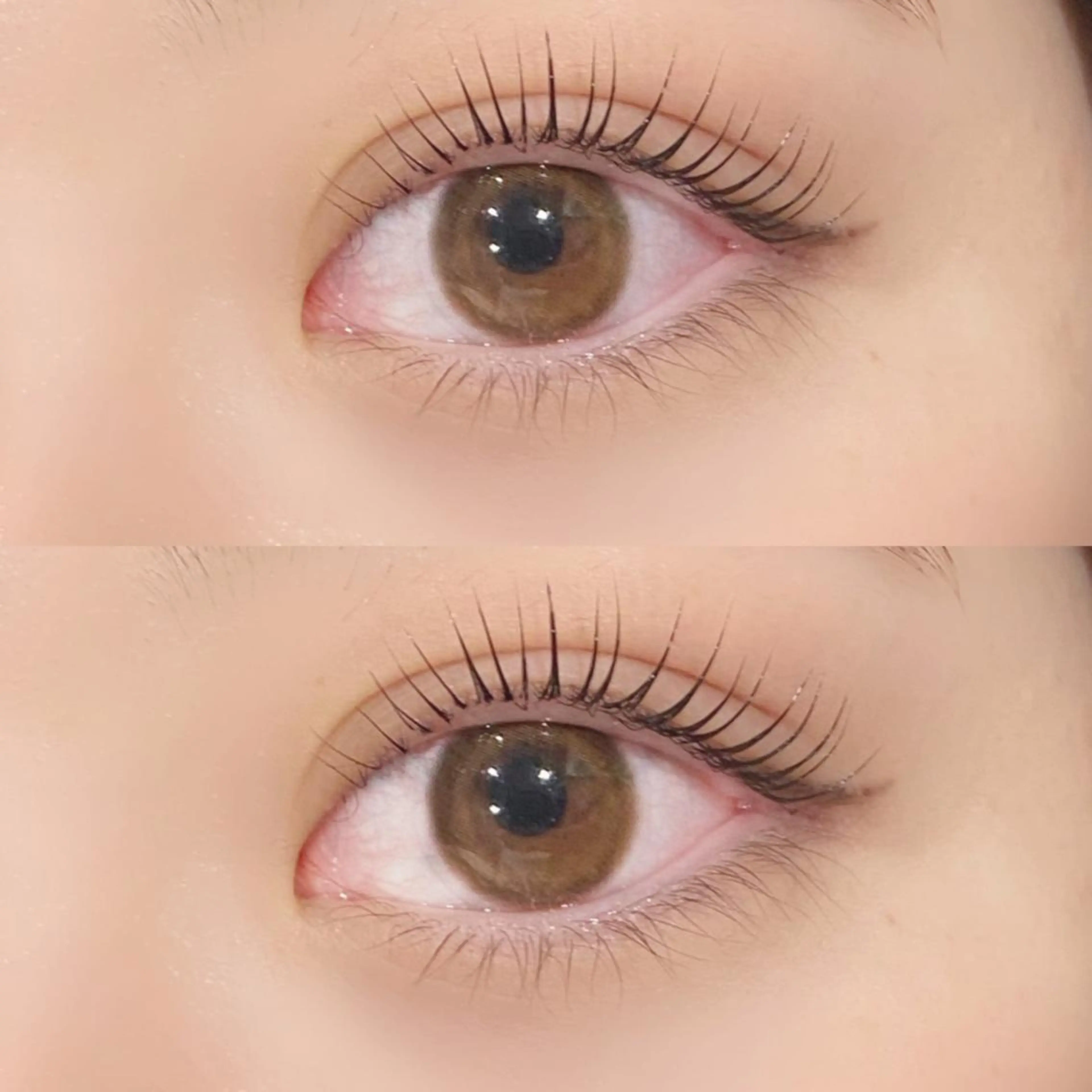 まつ毛パーマ‪𓂃 𓈒𓏸の写真