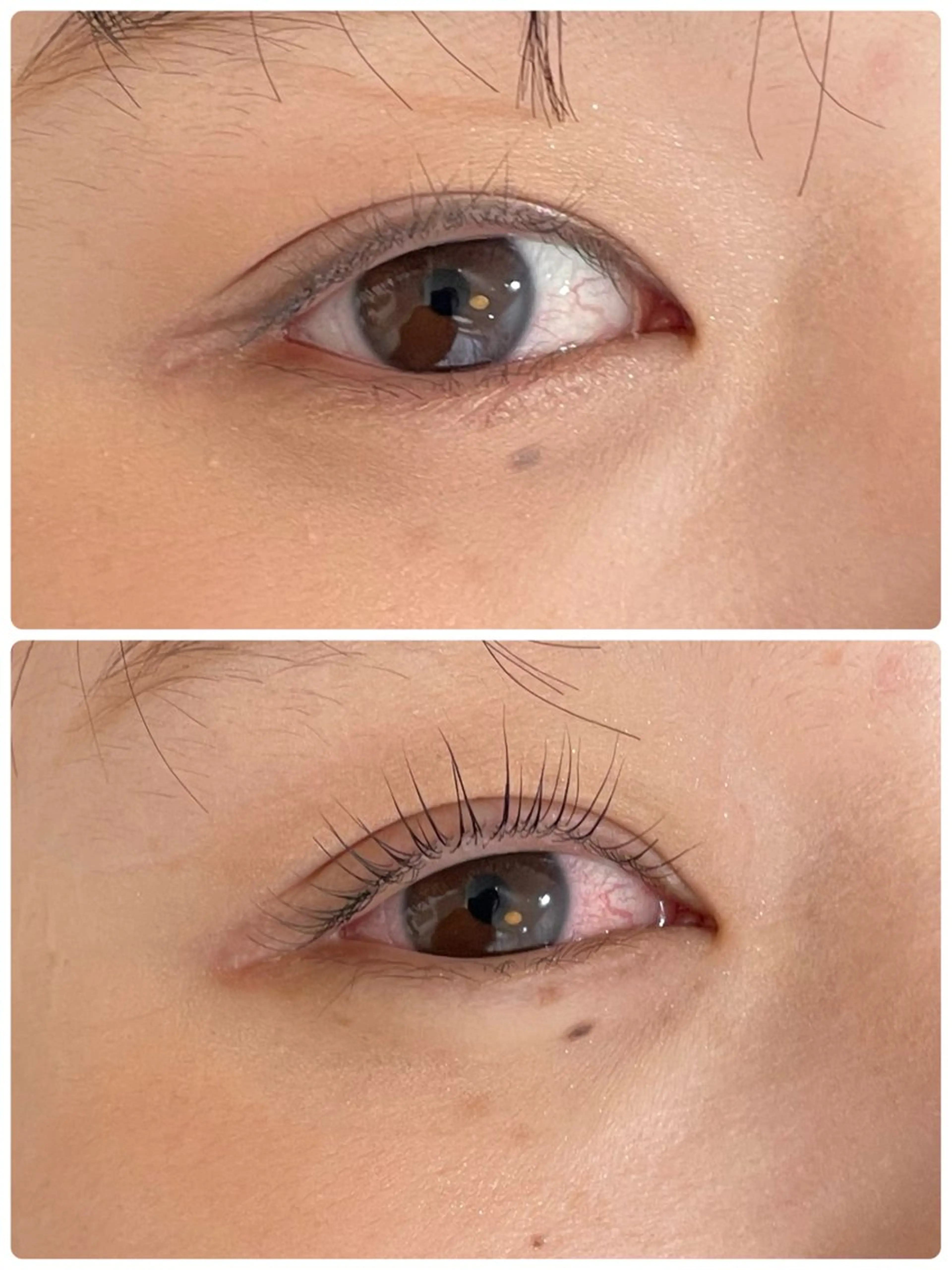 マツエク・マツパ RIM 🕊️ 恵比寿のマツエク・マツパデザイン