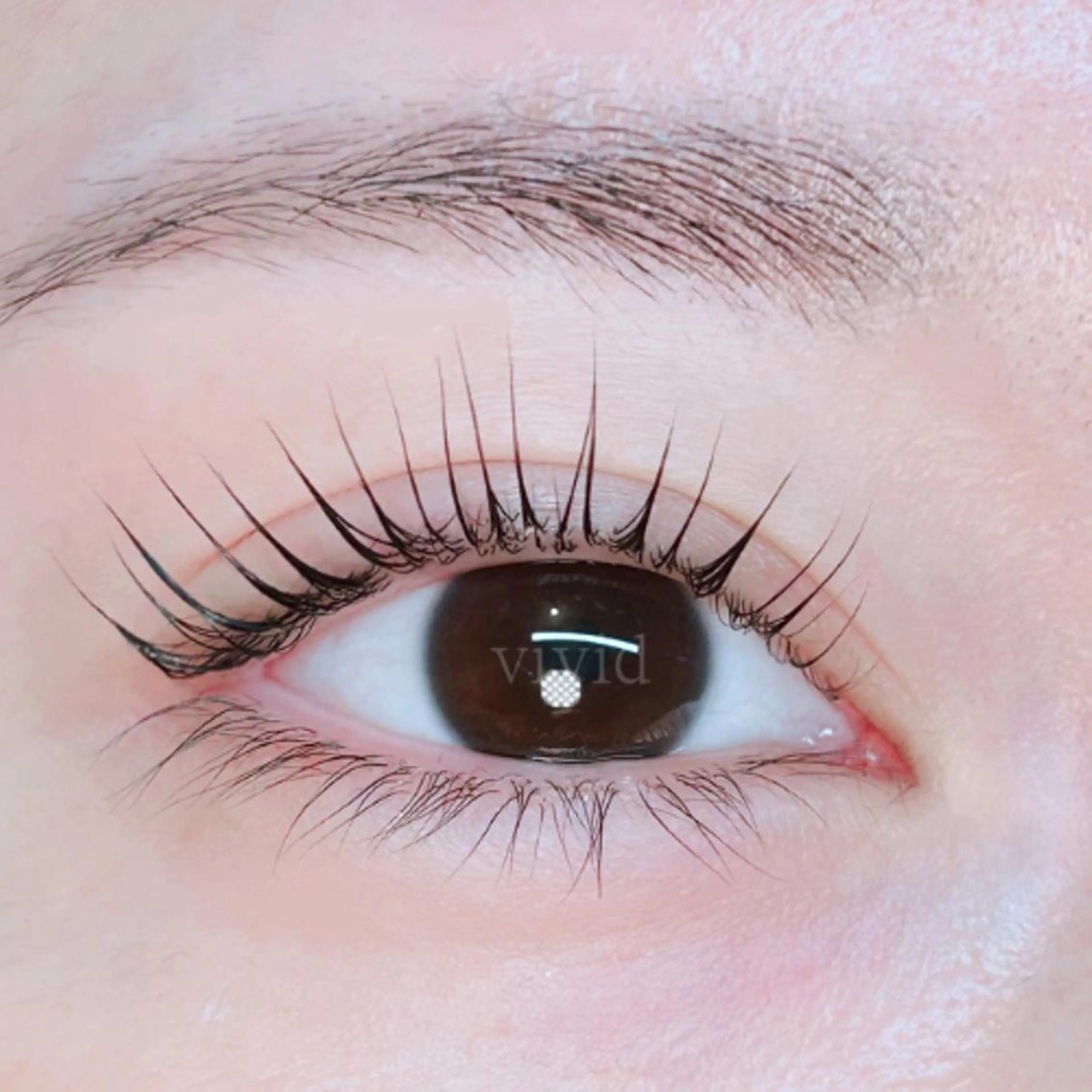 【無料モデル募集】4/20限定❤️まつ毛パーマの写真