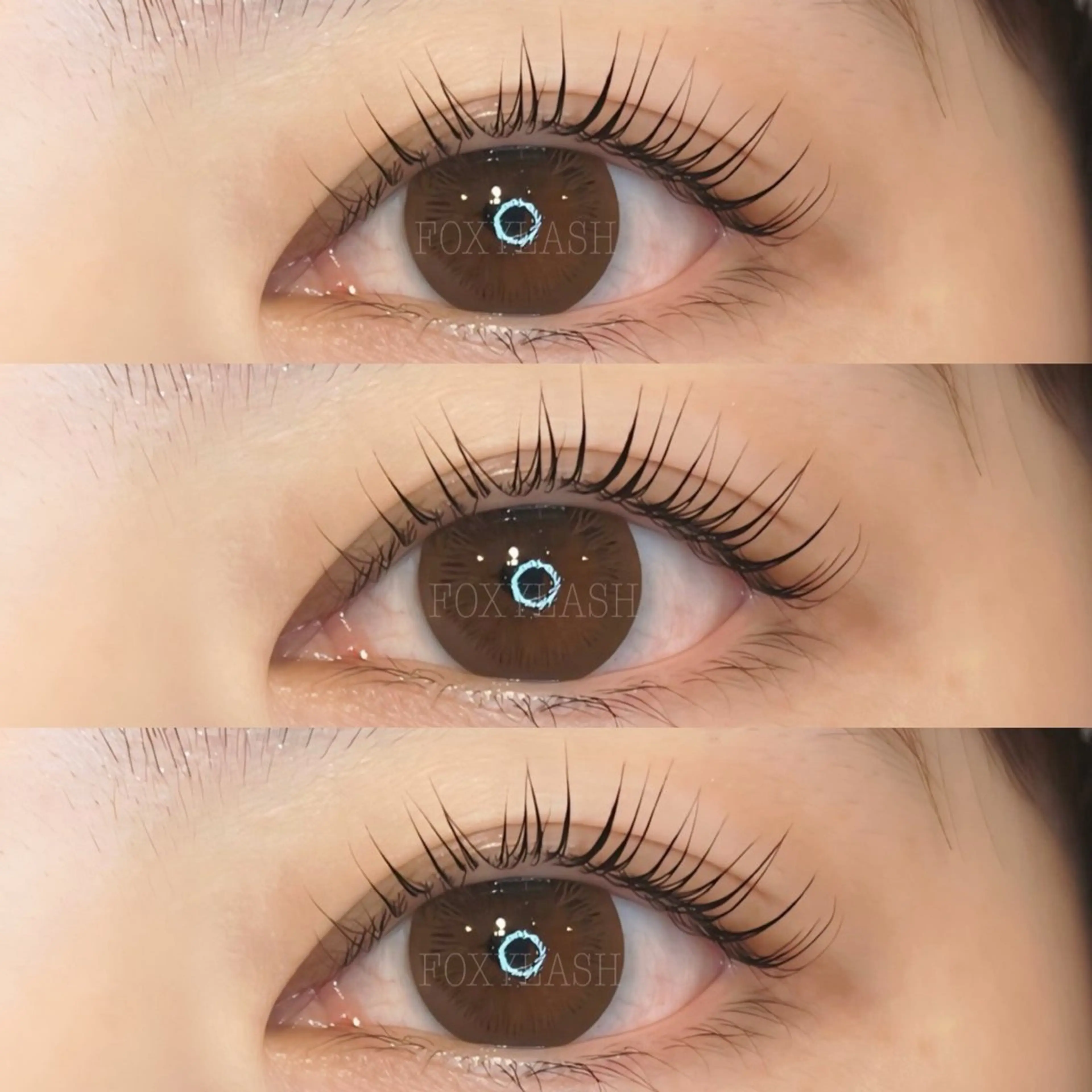 マツエク・マツパ Lカール マツパ FOXYLASH難波 kitamuraのマツエク・マツパデザイン