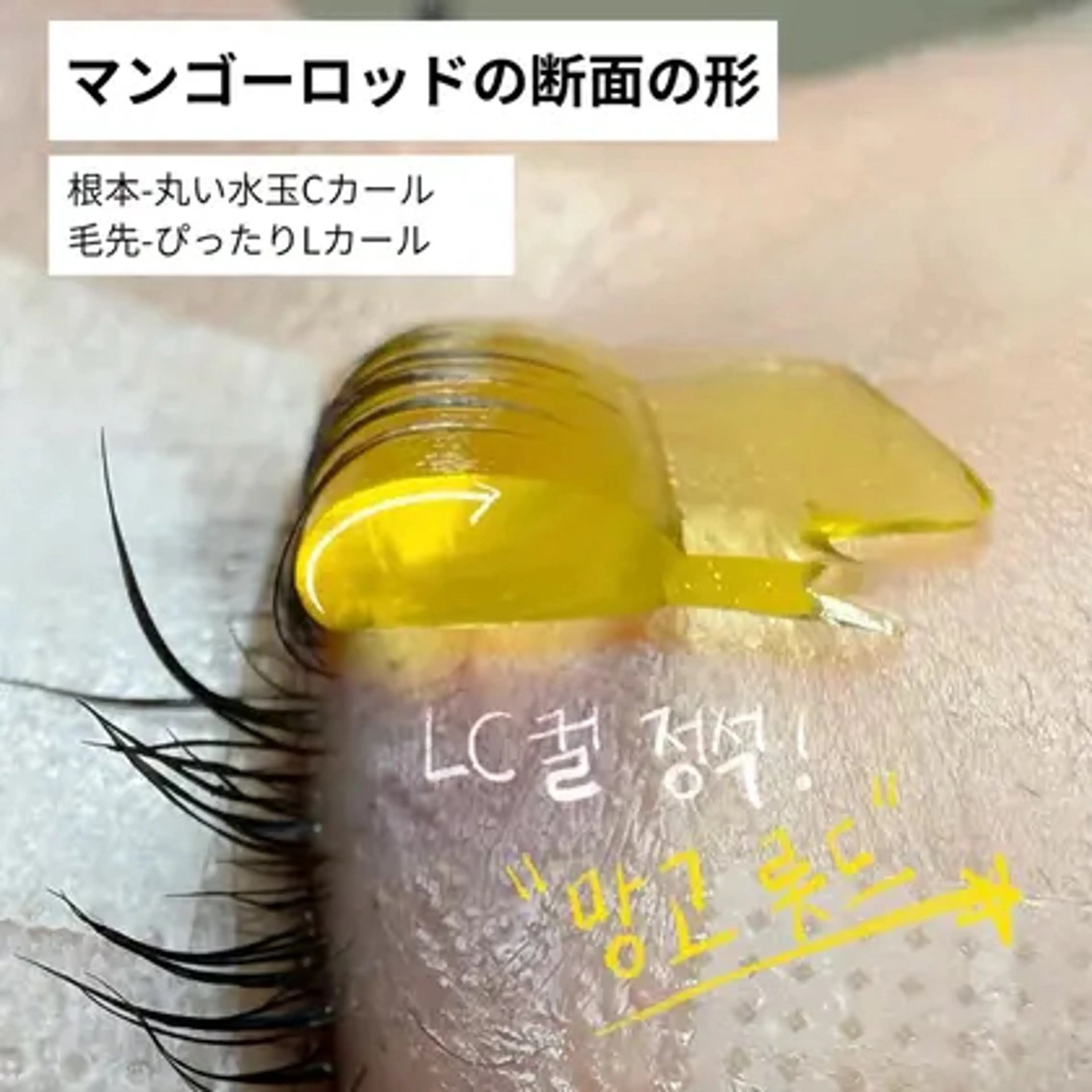 マツエク・マツパ 韓国風マツエク Y.Beauty ユキのマツエク・マツパデザイン