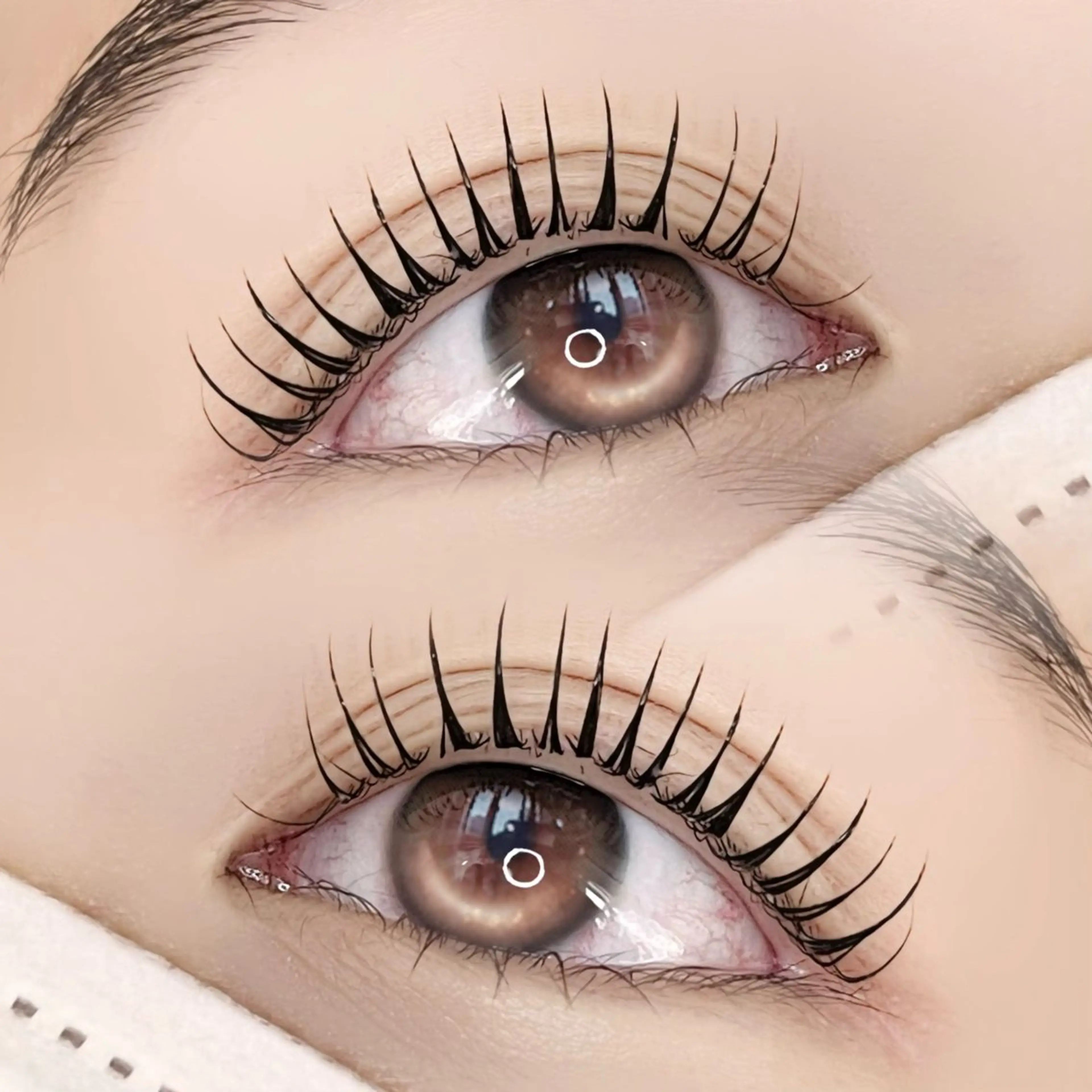 🉐各日新規3名様限定🉐ミニモ限定🤍まつ毛パーマ🤍口コミ約束の写真