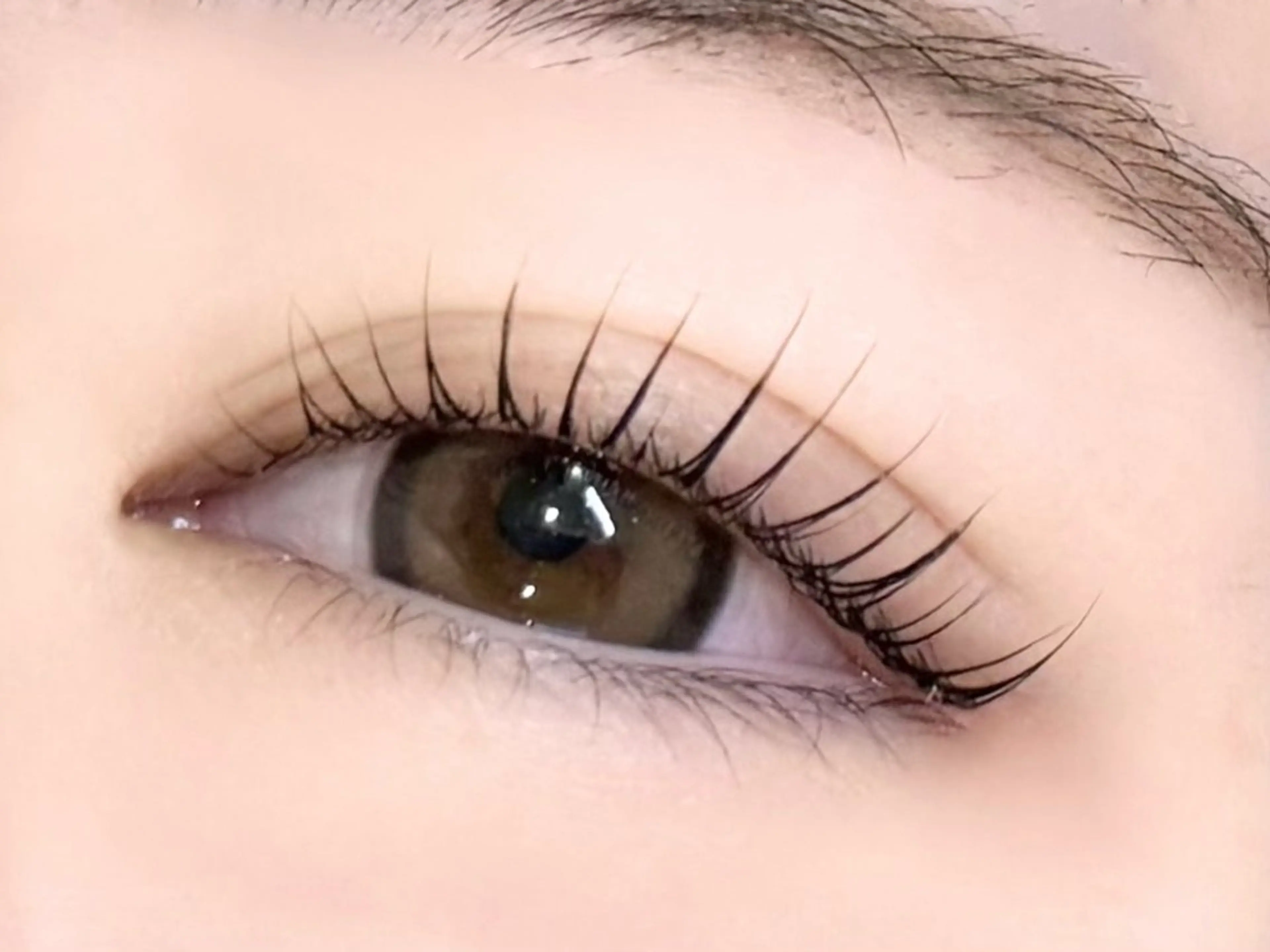 上下まつ毛パーマ🎀(パリジェンヌorラッシュリフト＋500円)＋コーティング仕上げ✧‧˚.の写真