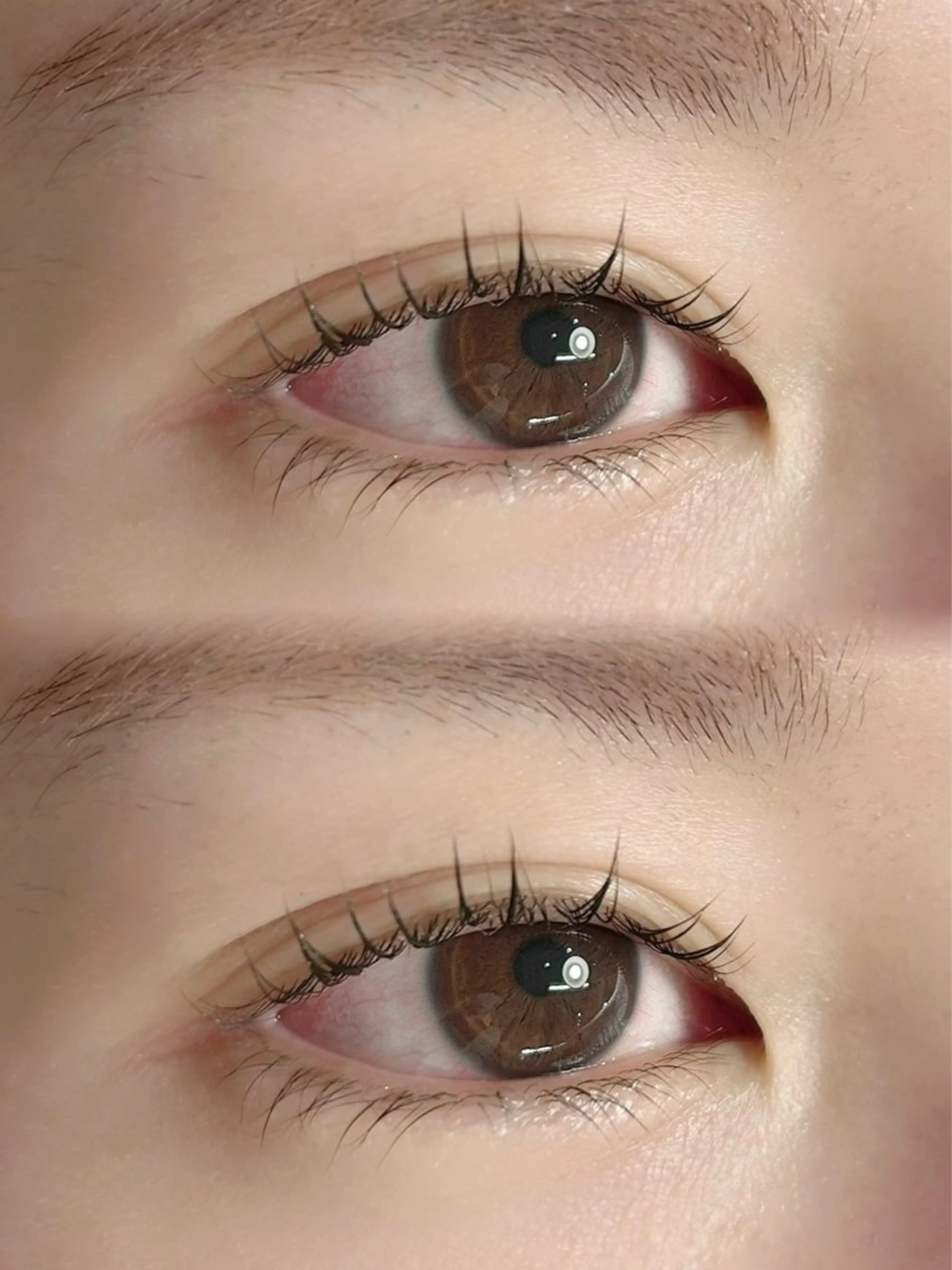 限定価格まつげパーマ🖤💚の写真