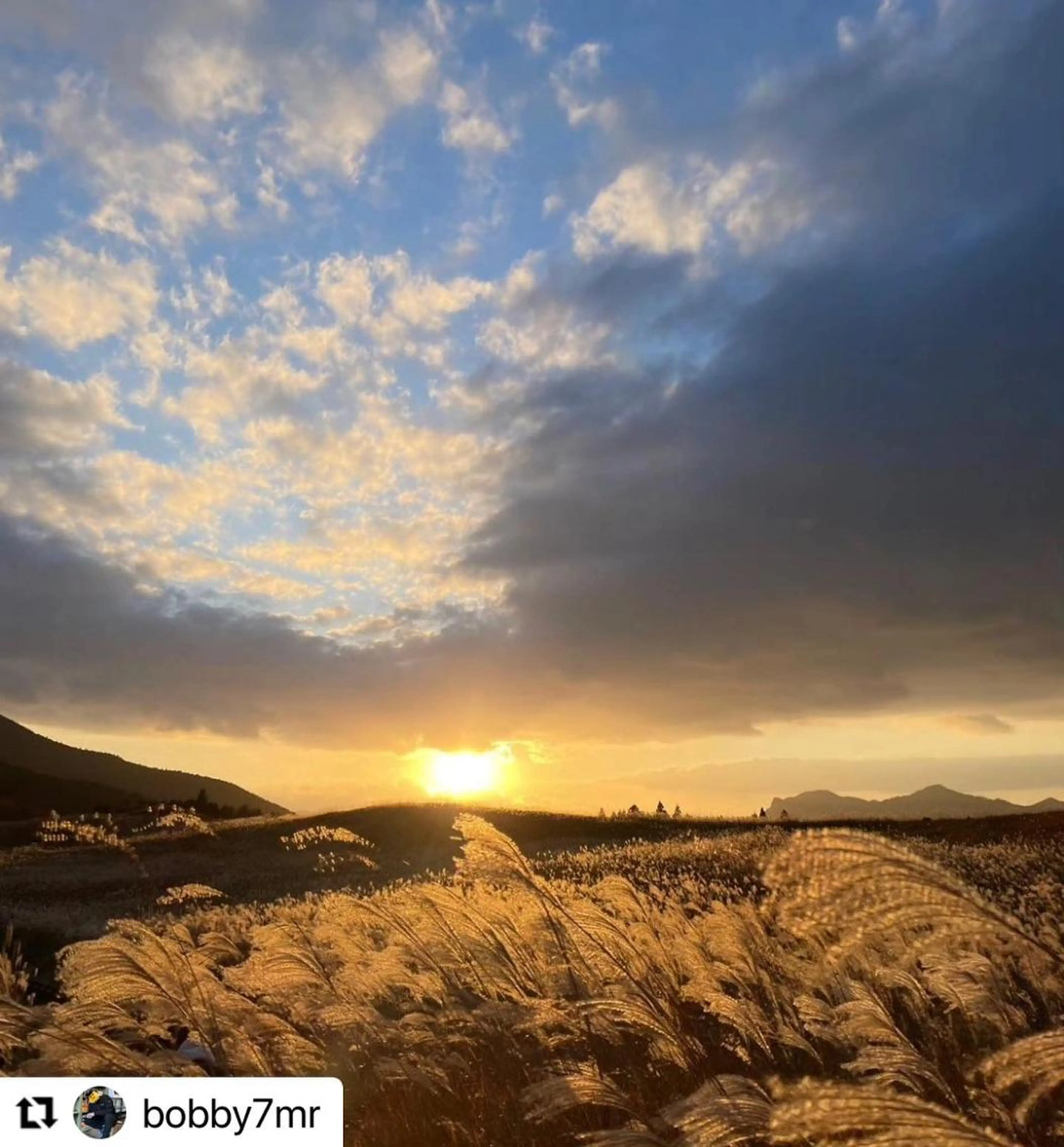 ミディアム カラー メンズ 🩷Eny terrace🩷のヘアスタイル