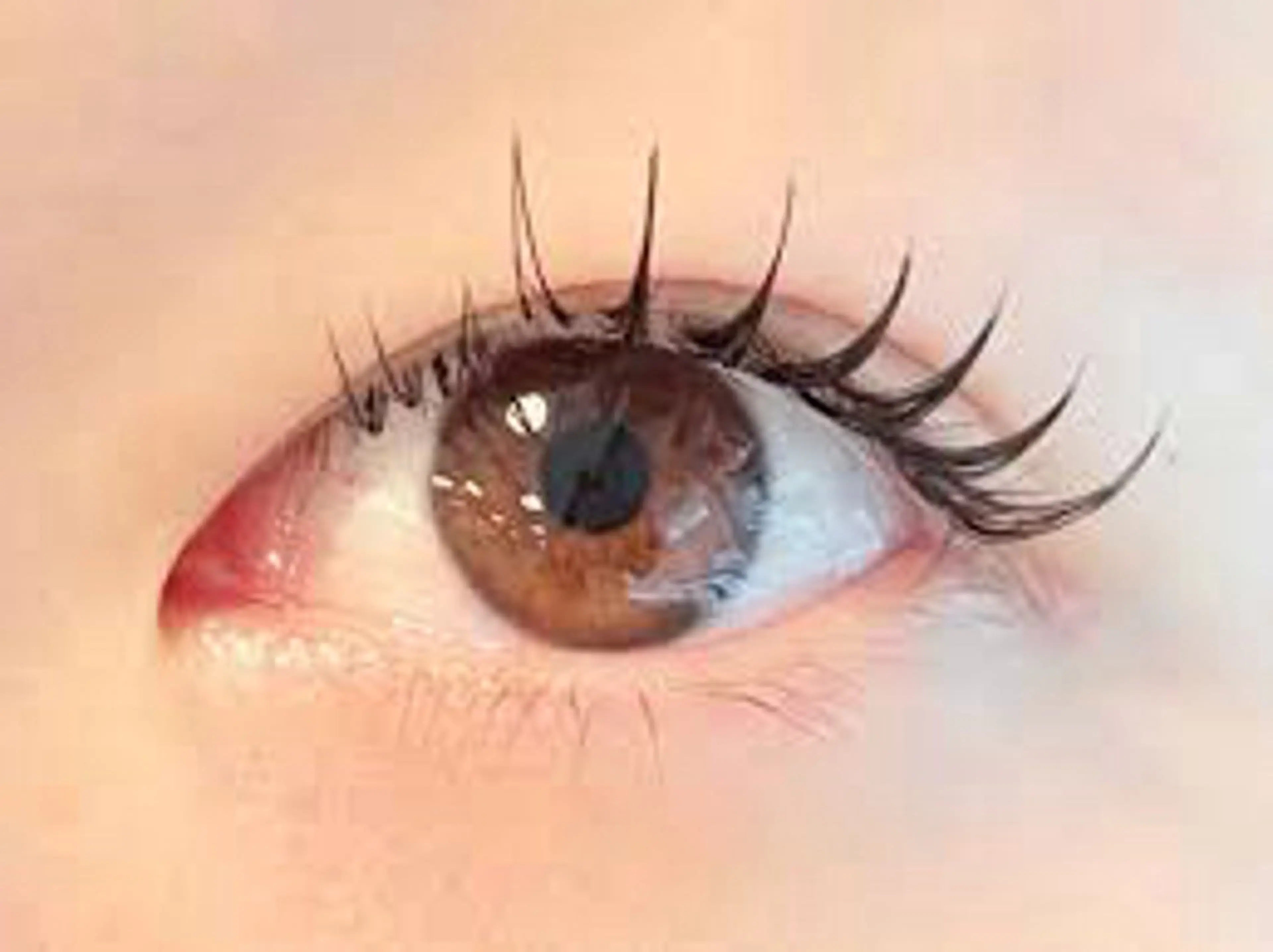 マツエク・マツパ Lash-bar   kanoa所属・Lash-bar kanoaのエステ・リラクイメージ