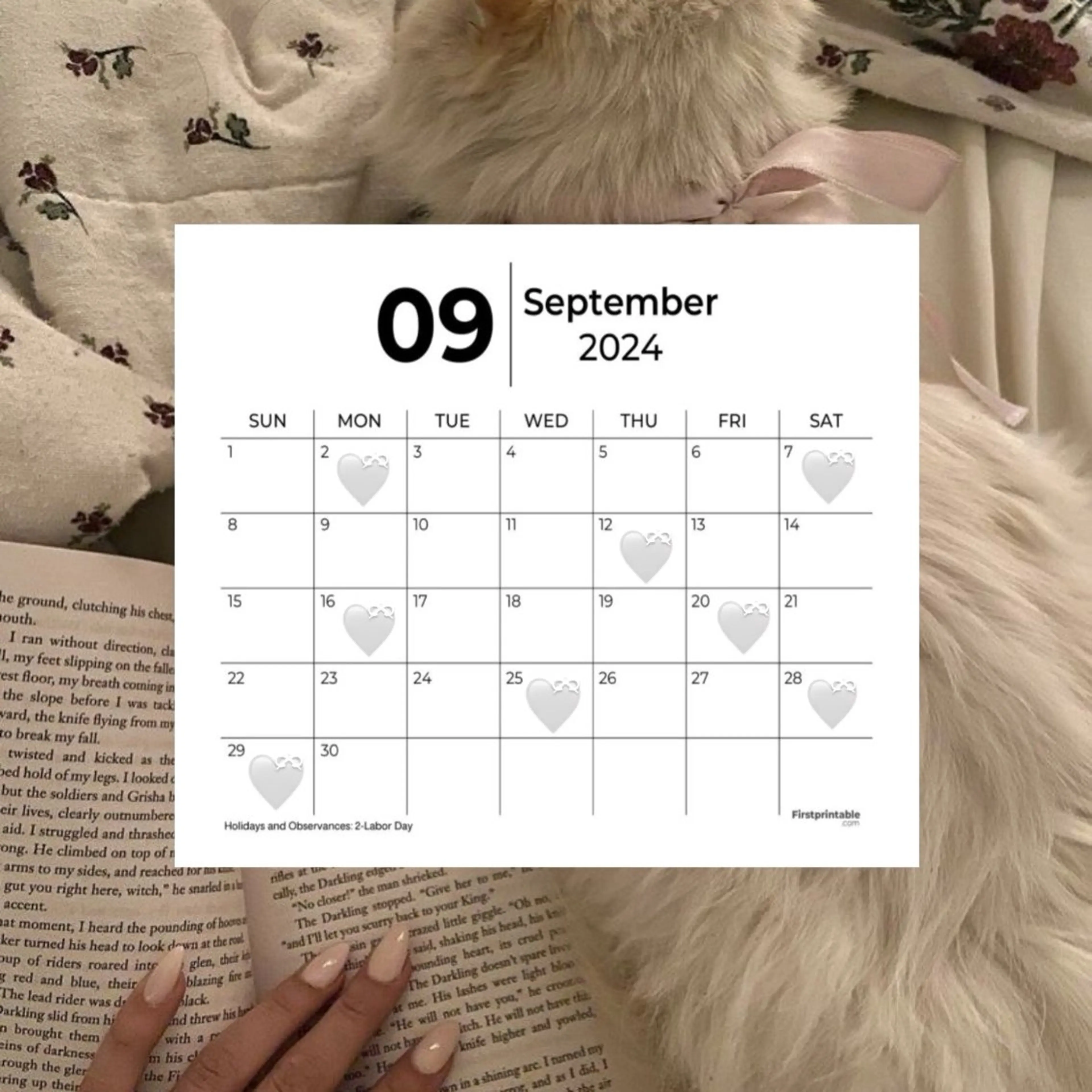 LILY立川🩶 RINKAのマツエク・マツパデザイン