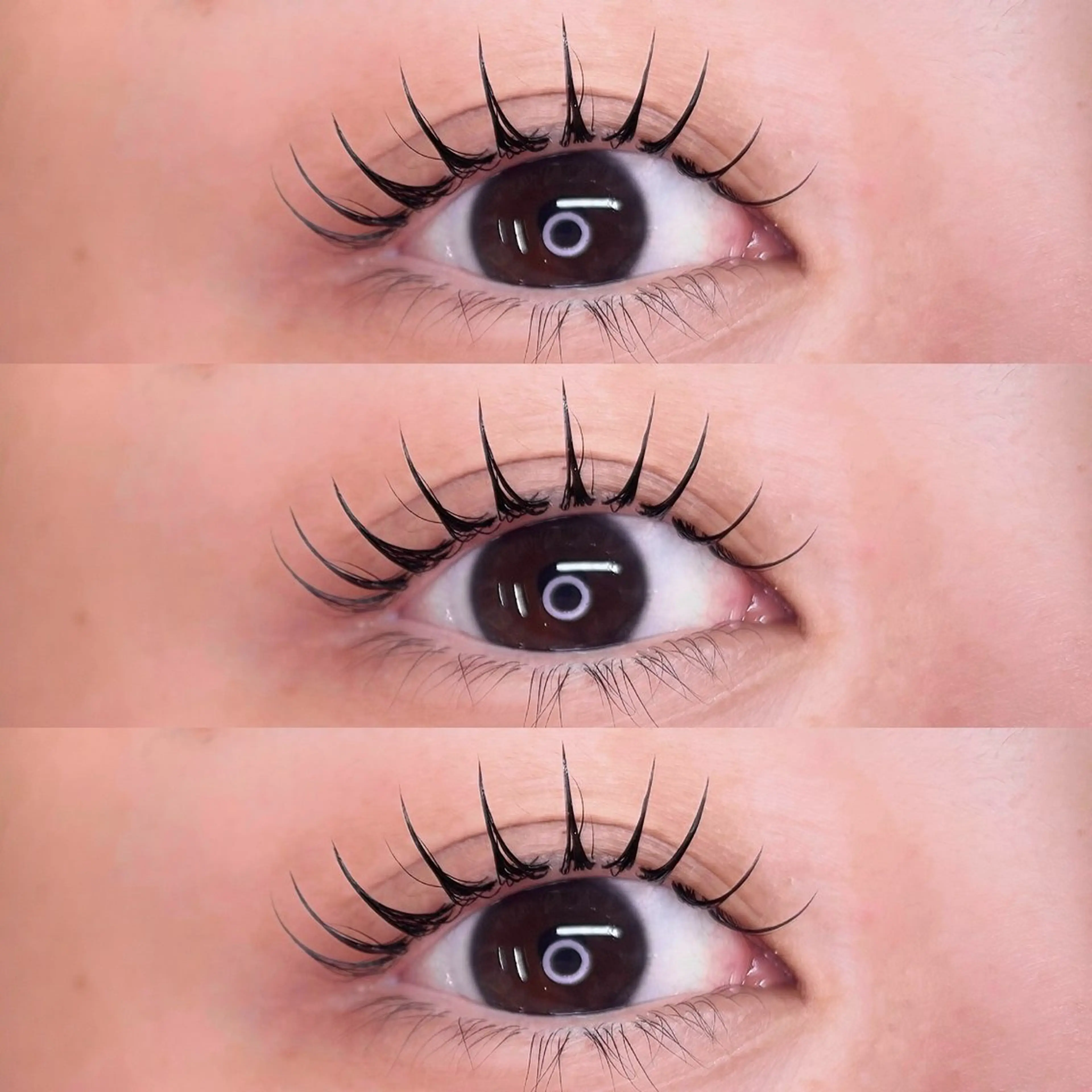 【数名限定モニター価格】🤍&Healthy🤍LEDフラット100本＋まつげパーマ🤍［アンドヘルシー］の写真