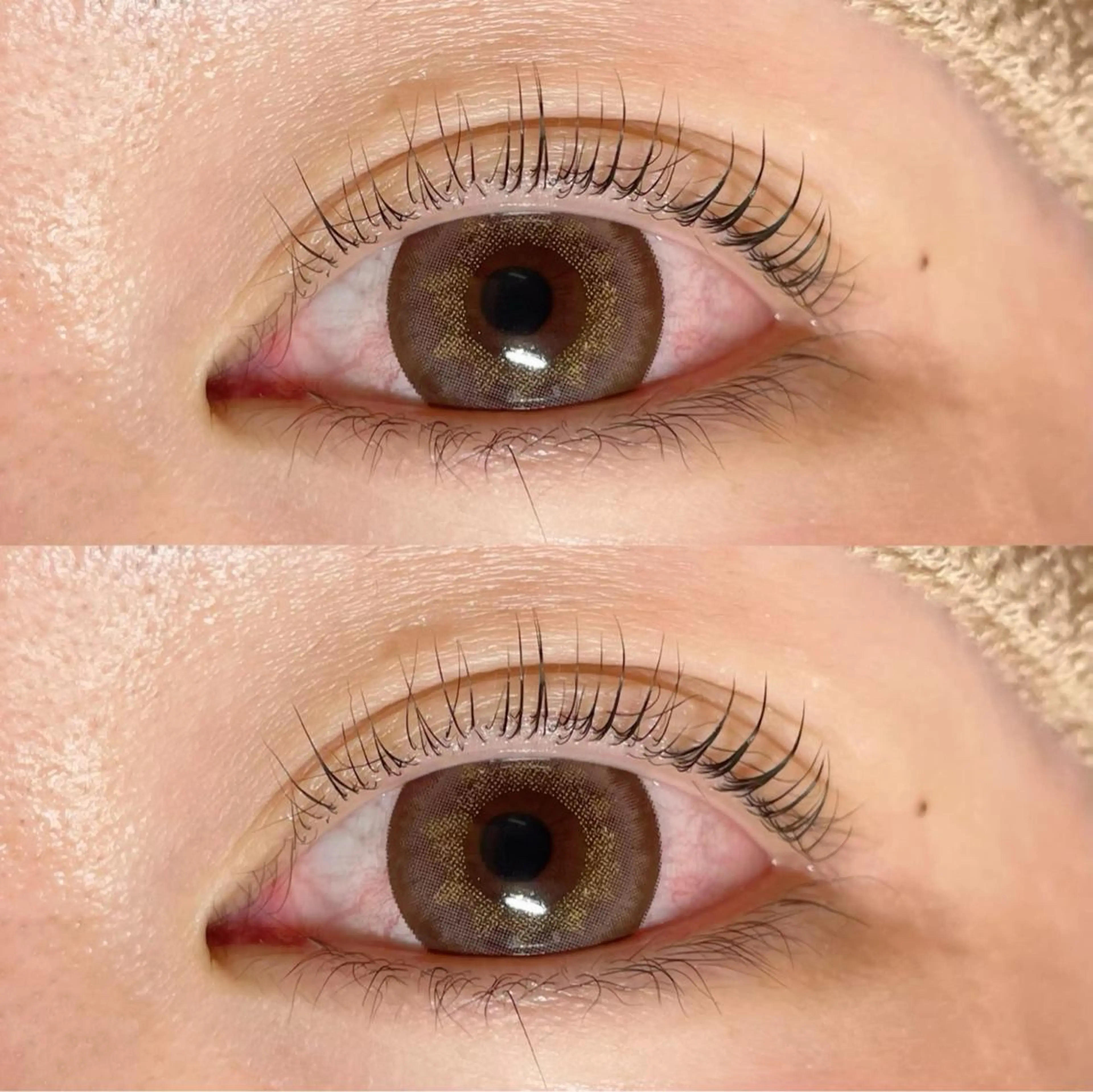 マツエク・マツパ パリジェンヌラッシュリフト 🎀Sakura- blow京橋🎀のマツエク・マツパデザイン