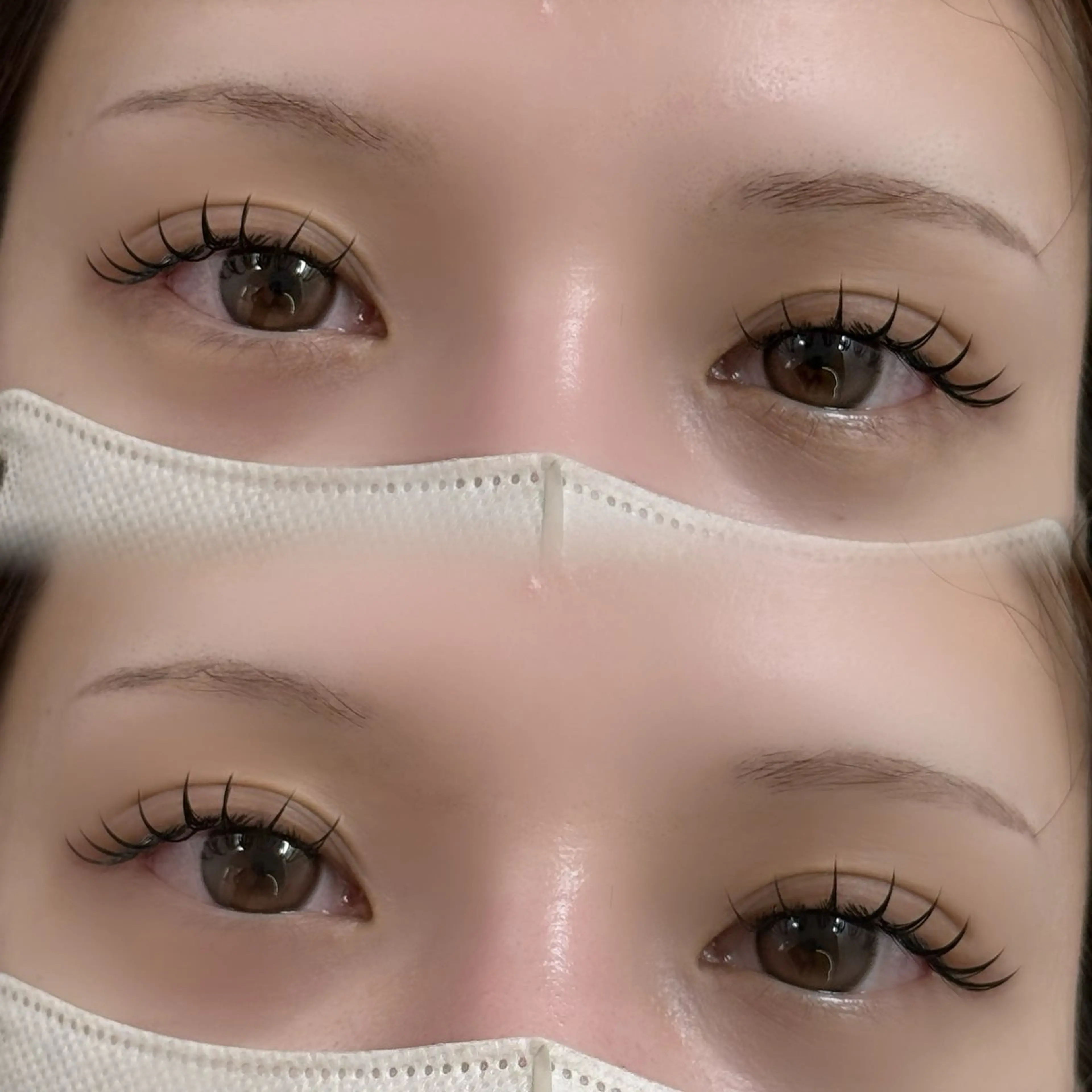 フラットラッシュ140本の写真