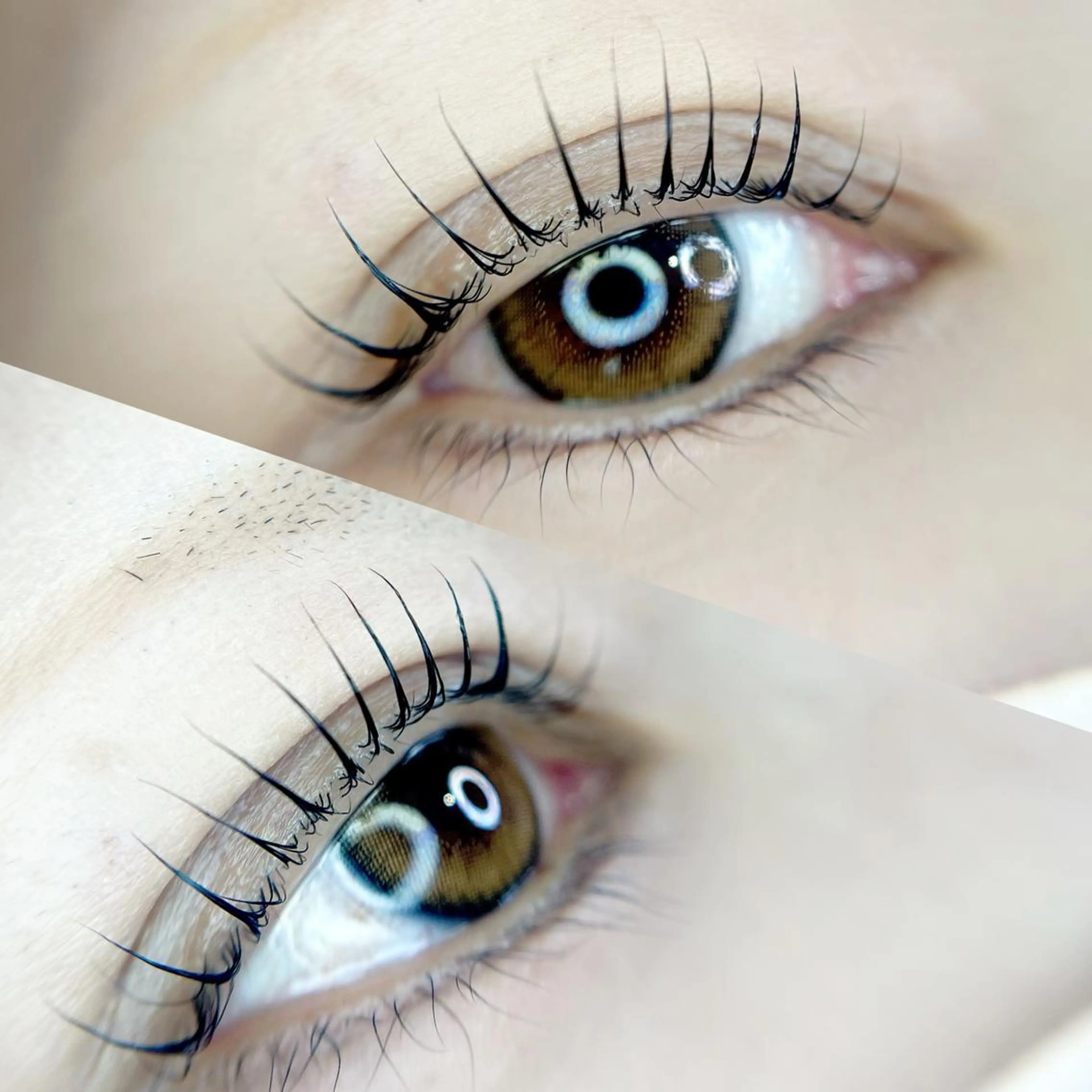 マツエク・マツパ ecru. eyelashのマツエク・マツパデザイン