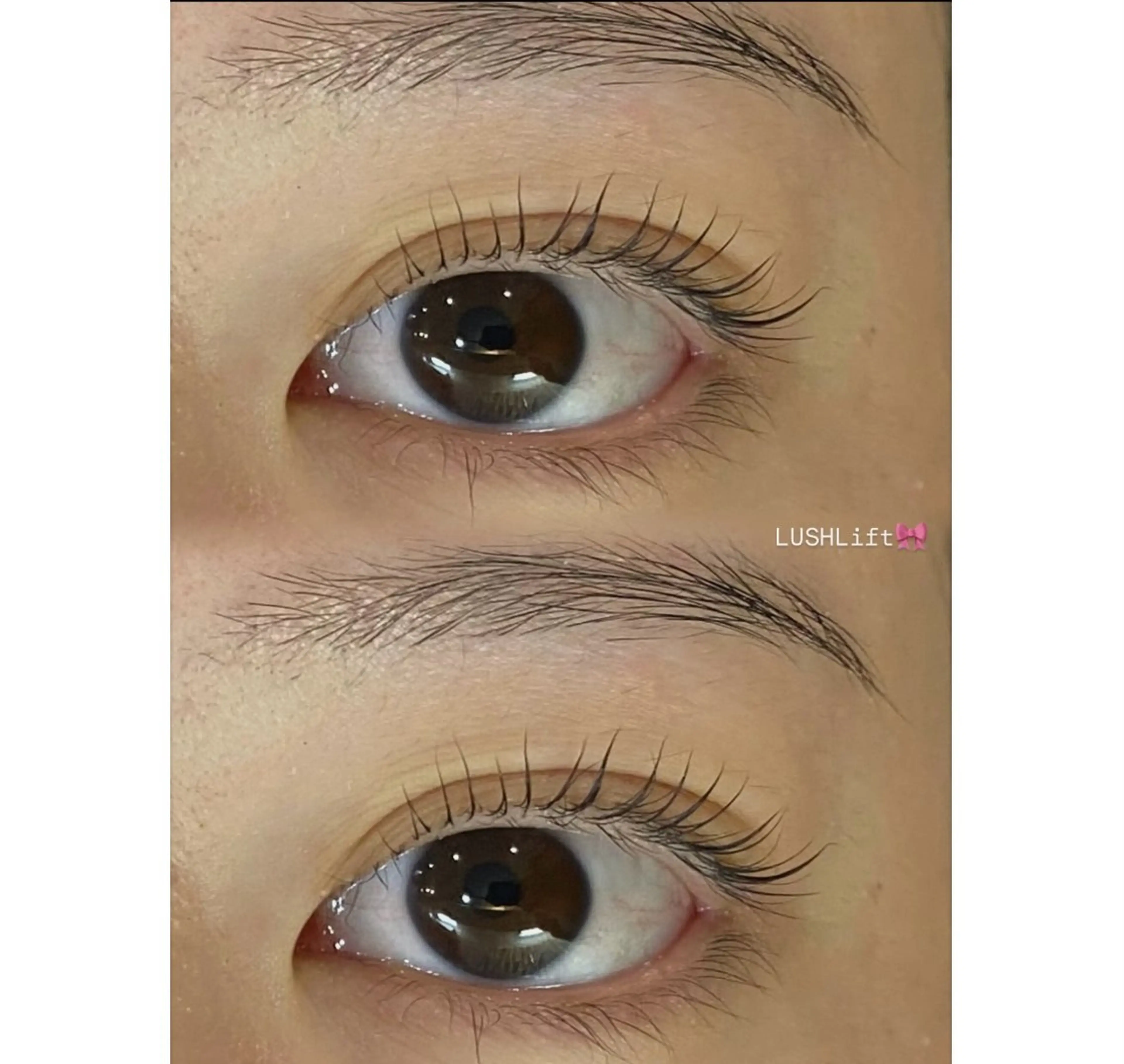 マツエク・マツパ EYELA ⭐️大森のマツエク・マツパデザイン