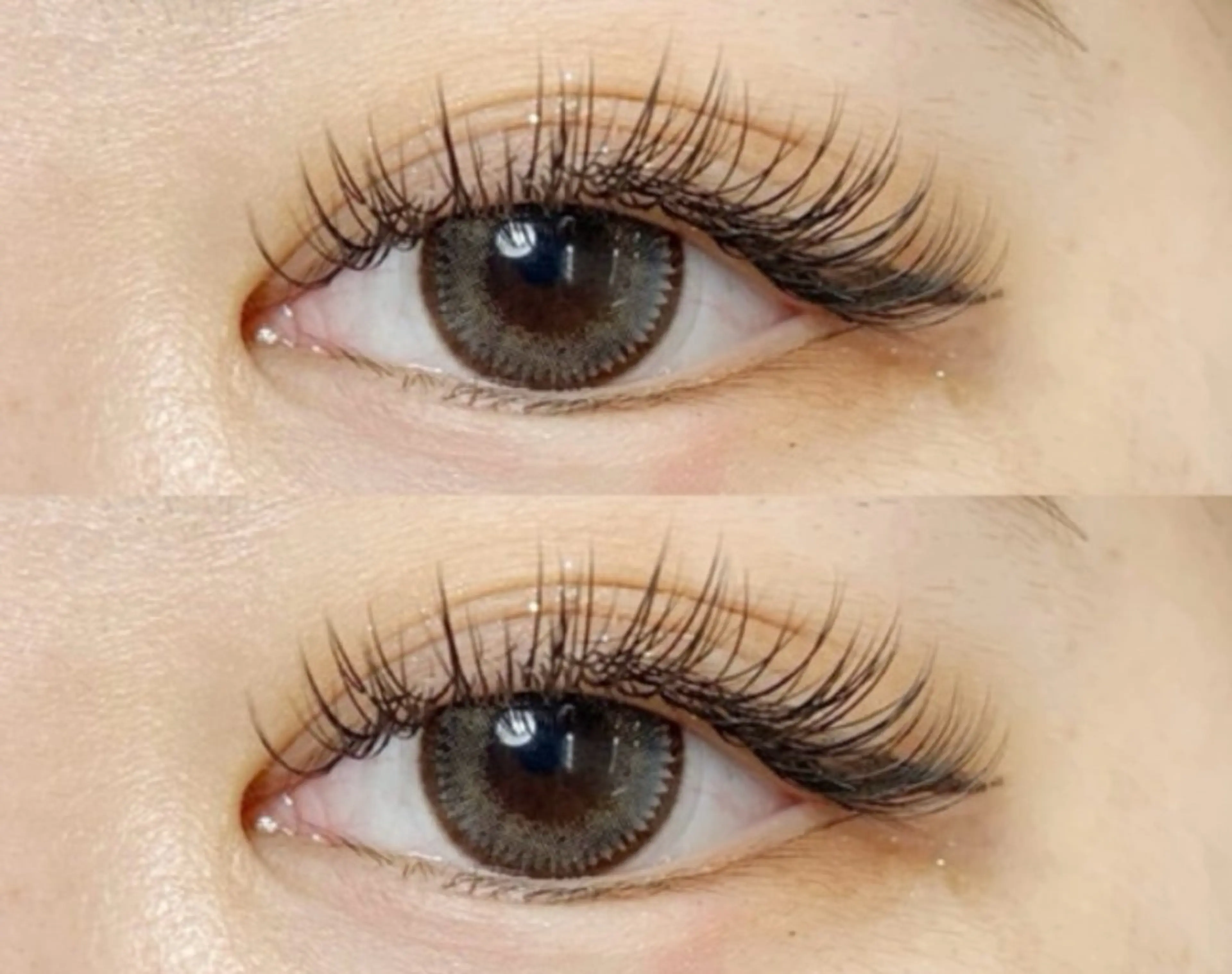 セーブルエクステ 160本🌷 オフ無料❣️の写真