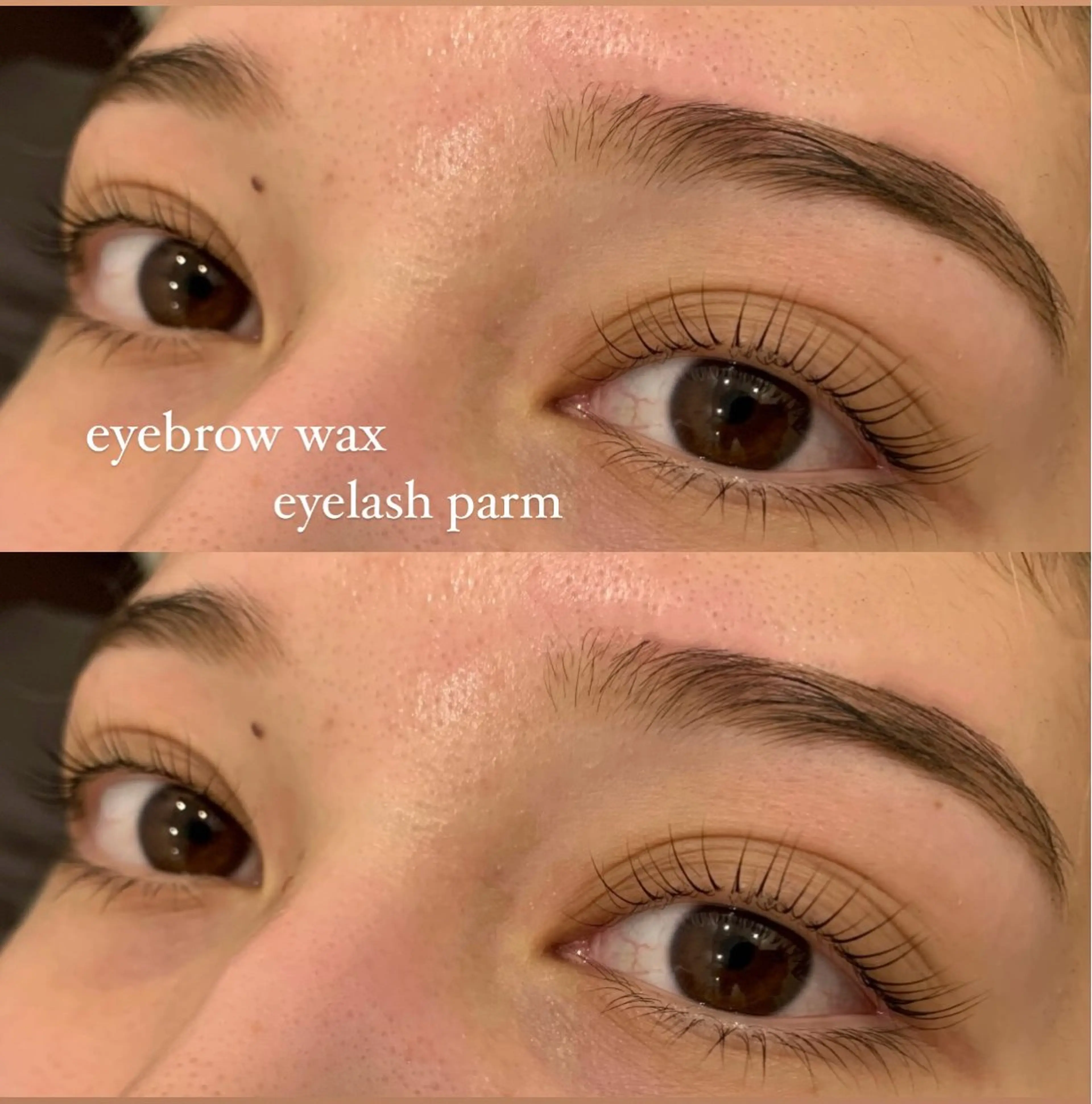 【新規】マツゲパーマ＆アイブロウWAX🌼セットでお得に💐の写真