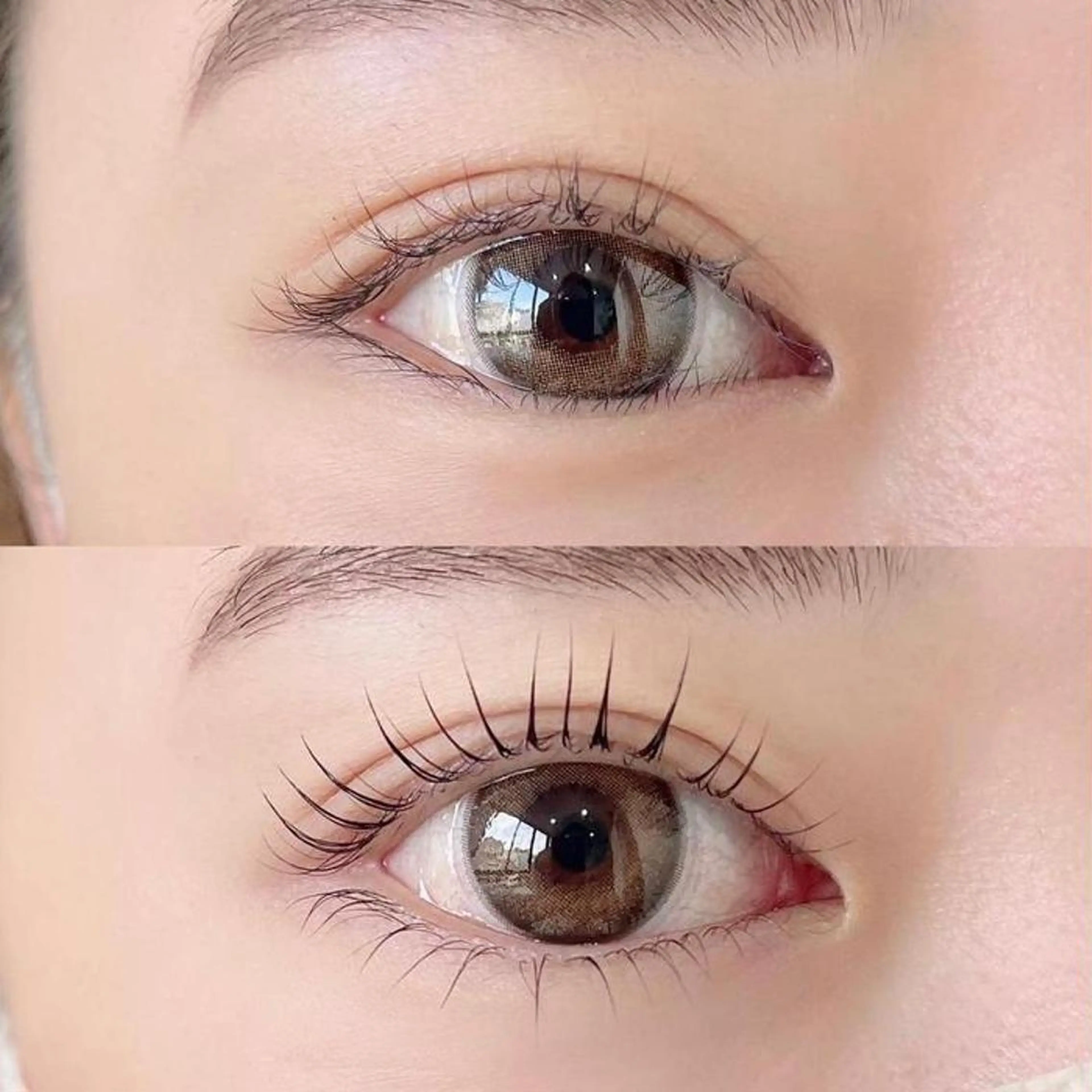 マツエク・マツパ 束感まつ毛 韓国風マツエク まつげパーマ マツパ ナピュレ 西葛西のマツエク・マツパデザイン