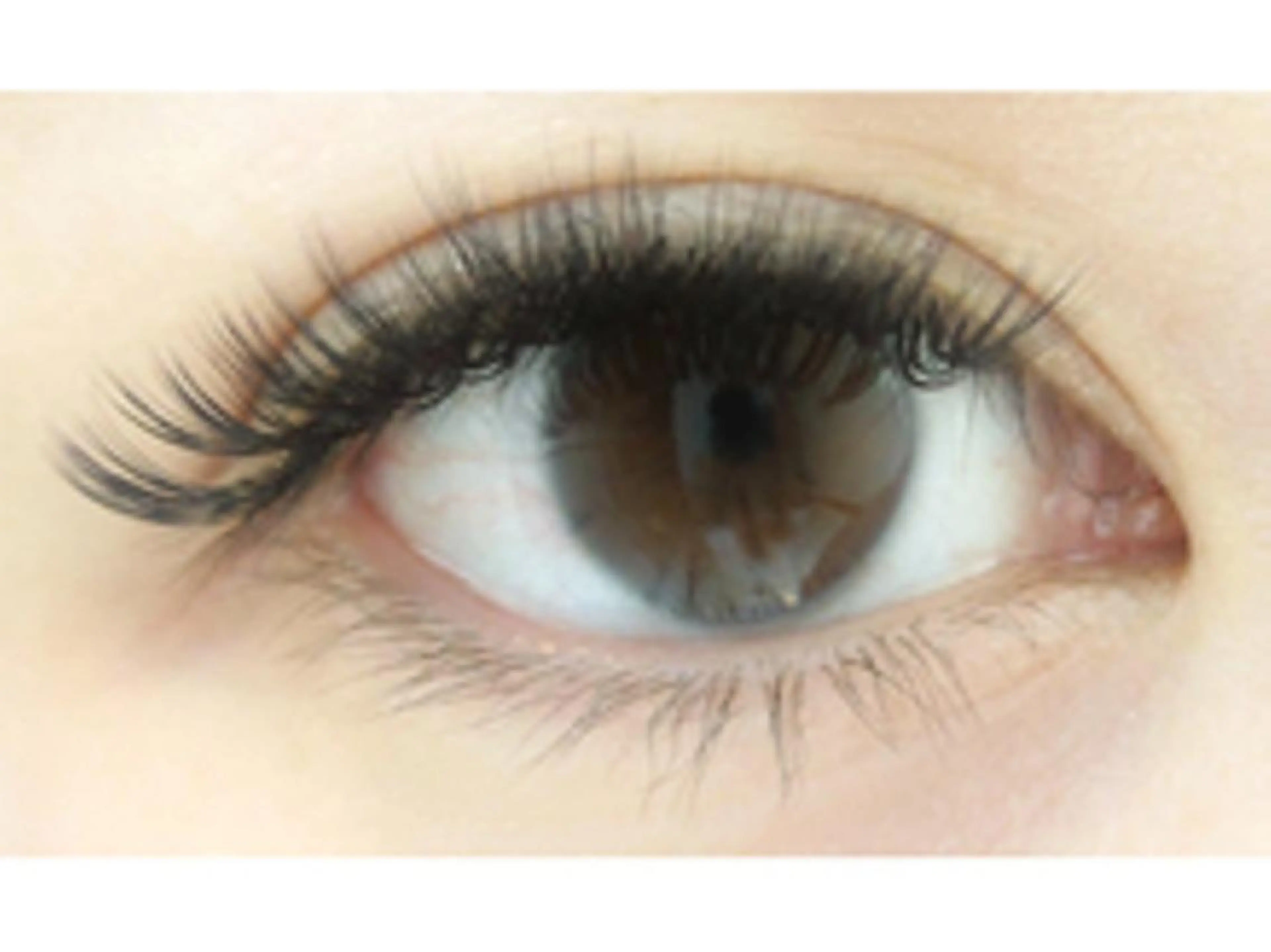 マツエク・マツパ ボリュームラッシュ mila.池袋LED エクステ・イガラシのマツエク・マツパデザイン