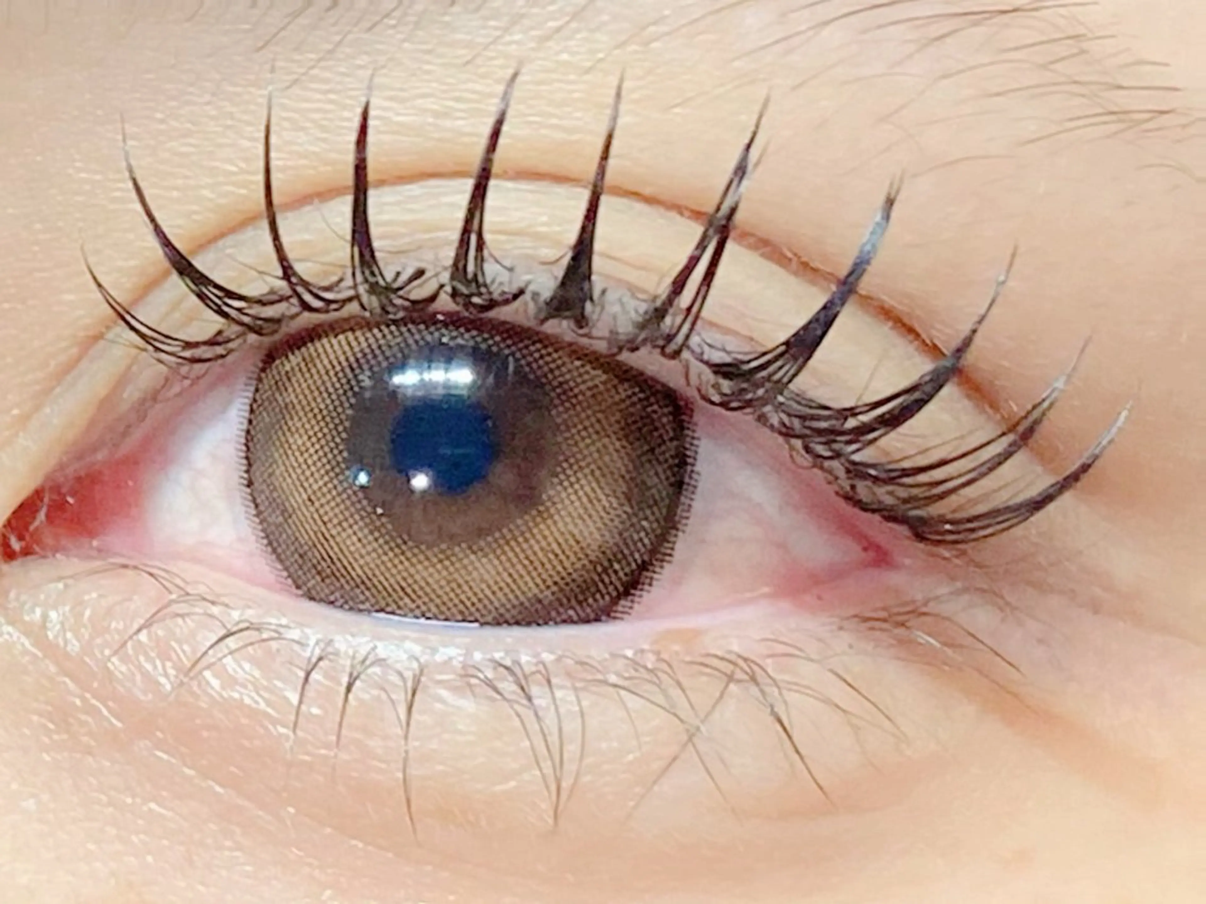 新導入🤍LEDマツエク100本の写真