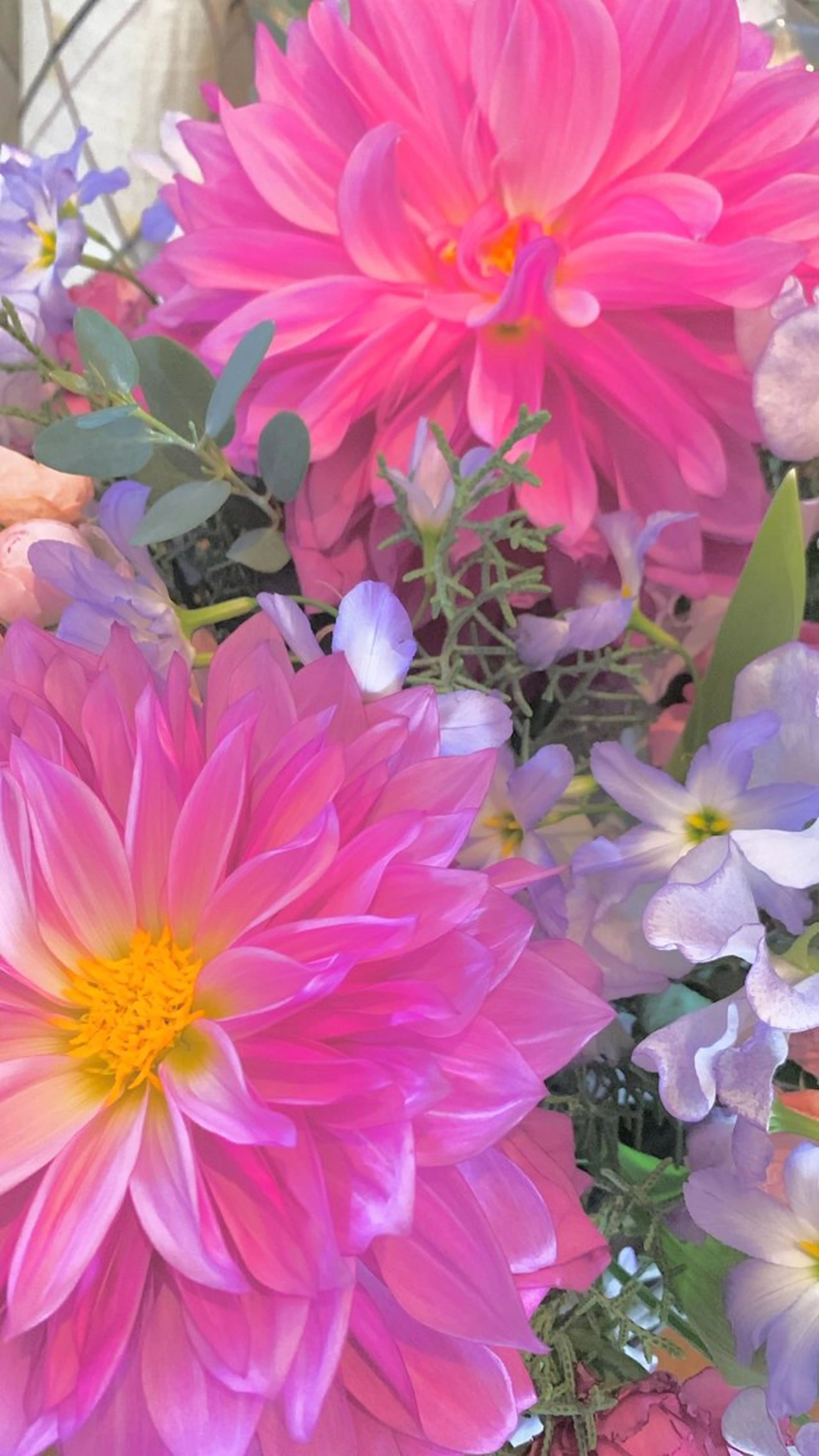 塩澤 利恵のヘアスタイル