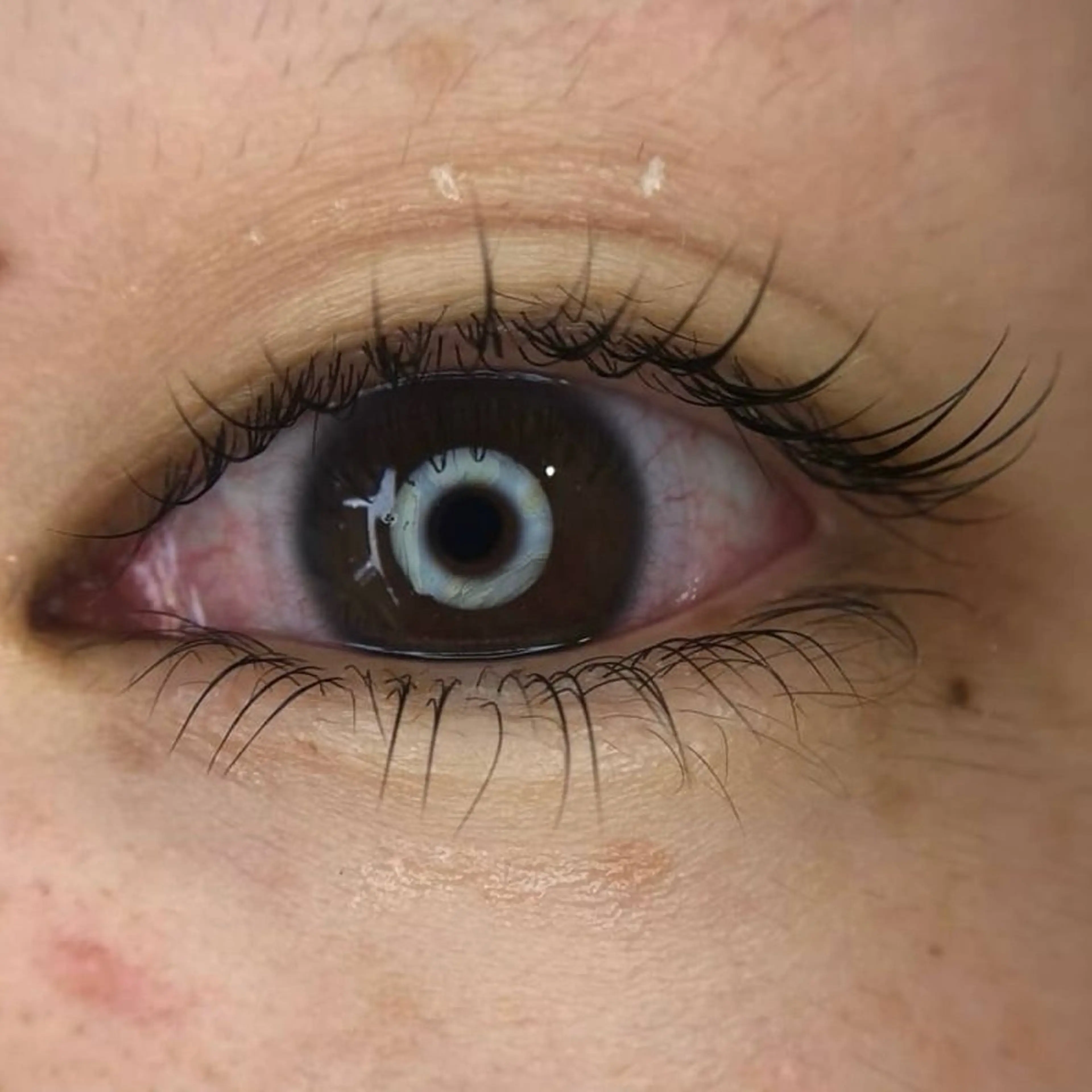 マツエク・マツパ パリジェンヌラッシュリフト 一重×まつ毛パーマ メゾンドシャルム NISHIKAWAのマツエク・マツパデザイン