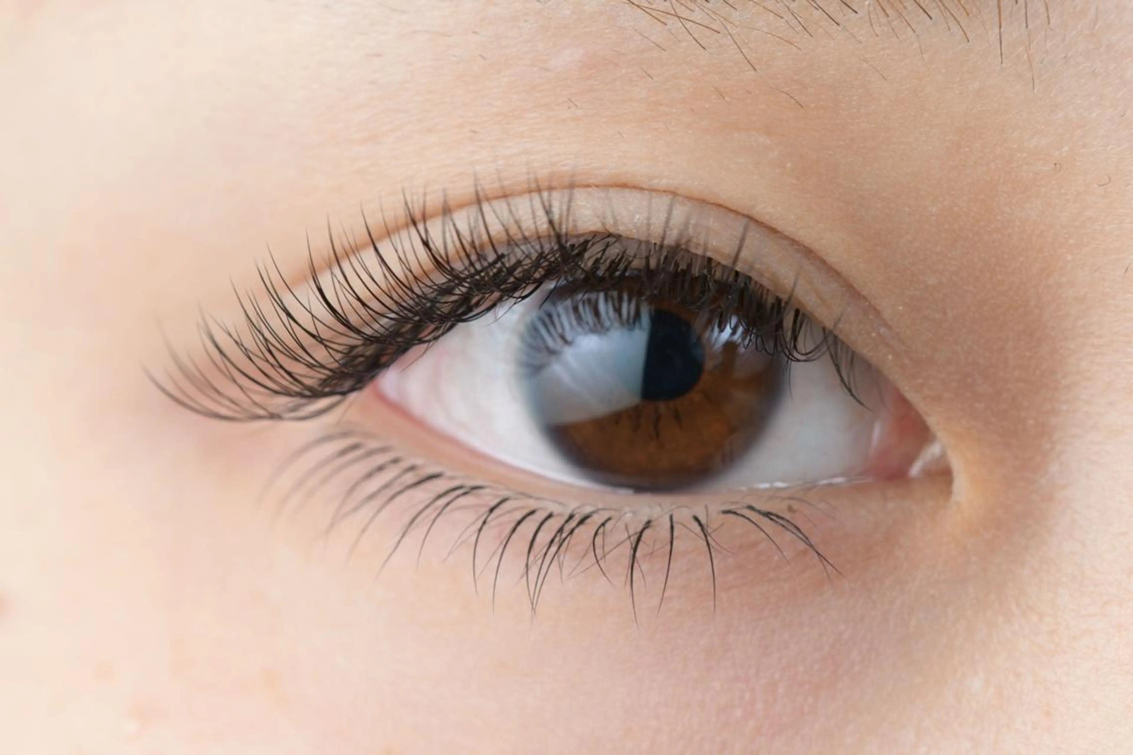 マツエク・マツパ フラットラッシュ ボリュームラッシュ アイサロン フェア 海老名店のマツエク・マツパデザイン